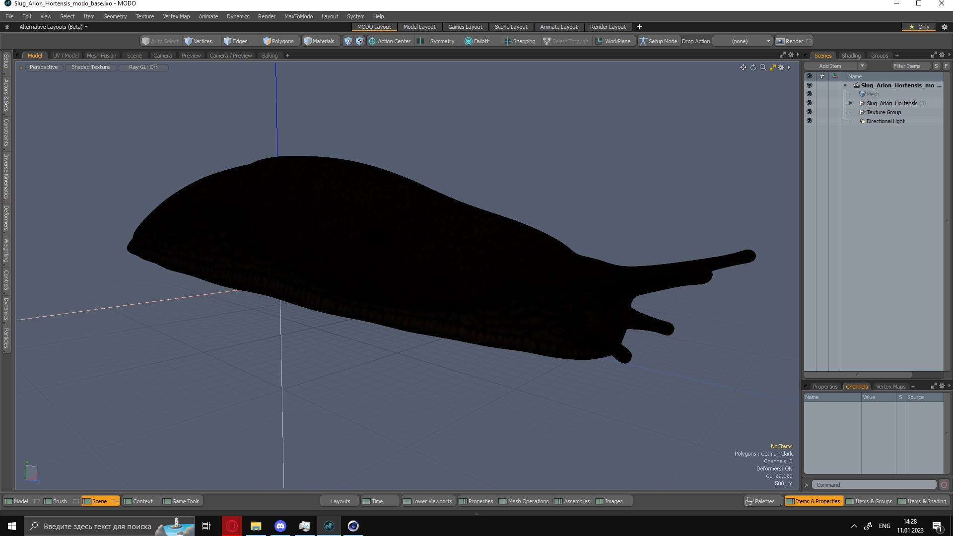 3D model Slug Arion Hortensis