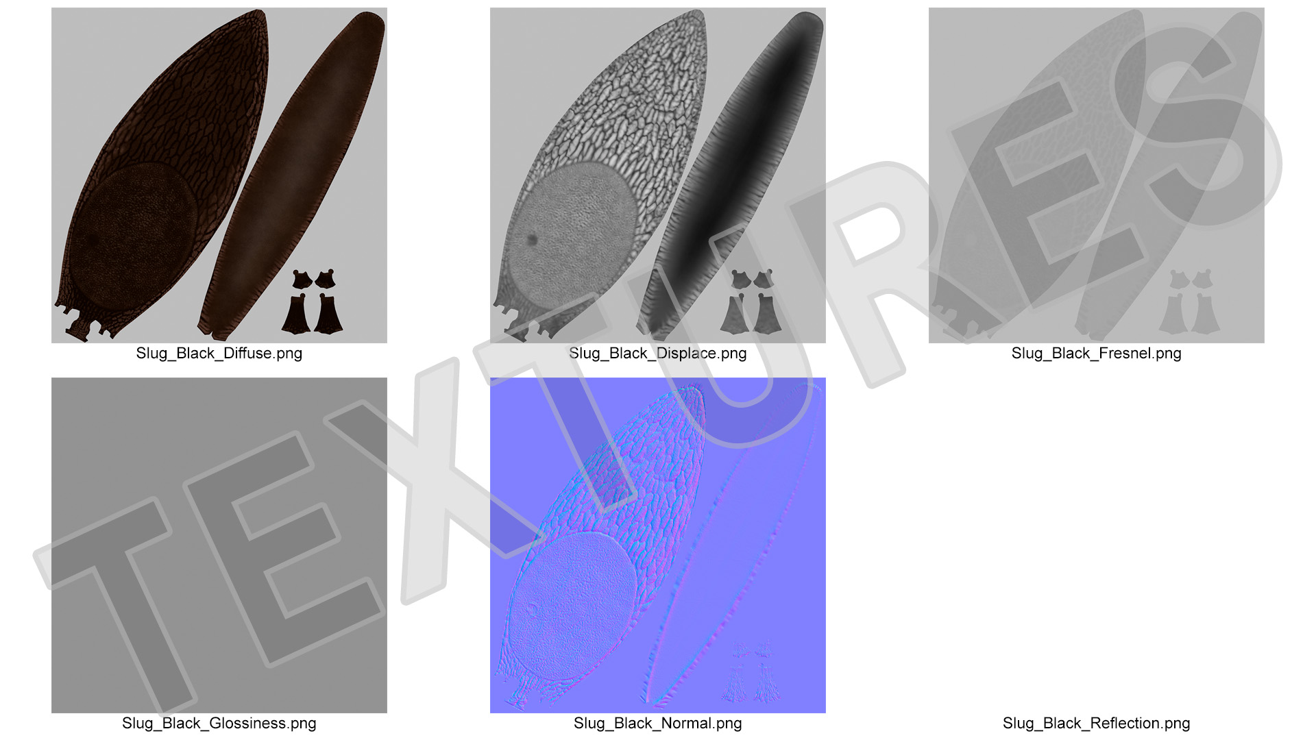 3D model Slug Arion Hortensis