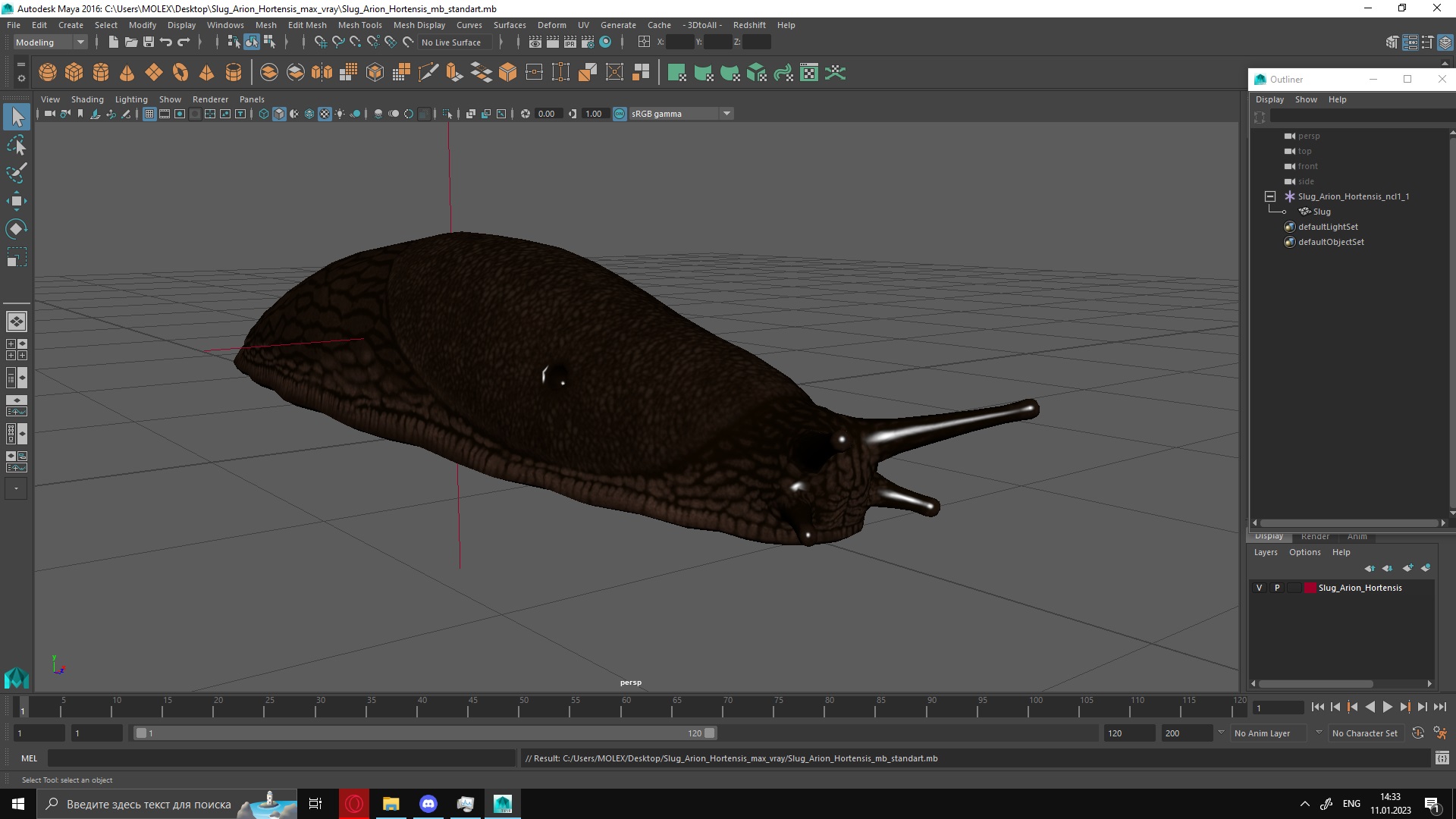 3D model Slug Arion Hortensis