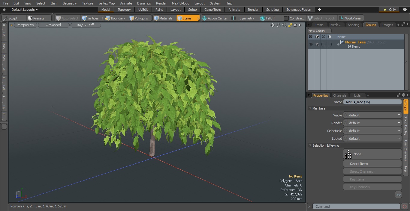 3D model Morus Tree