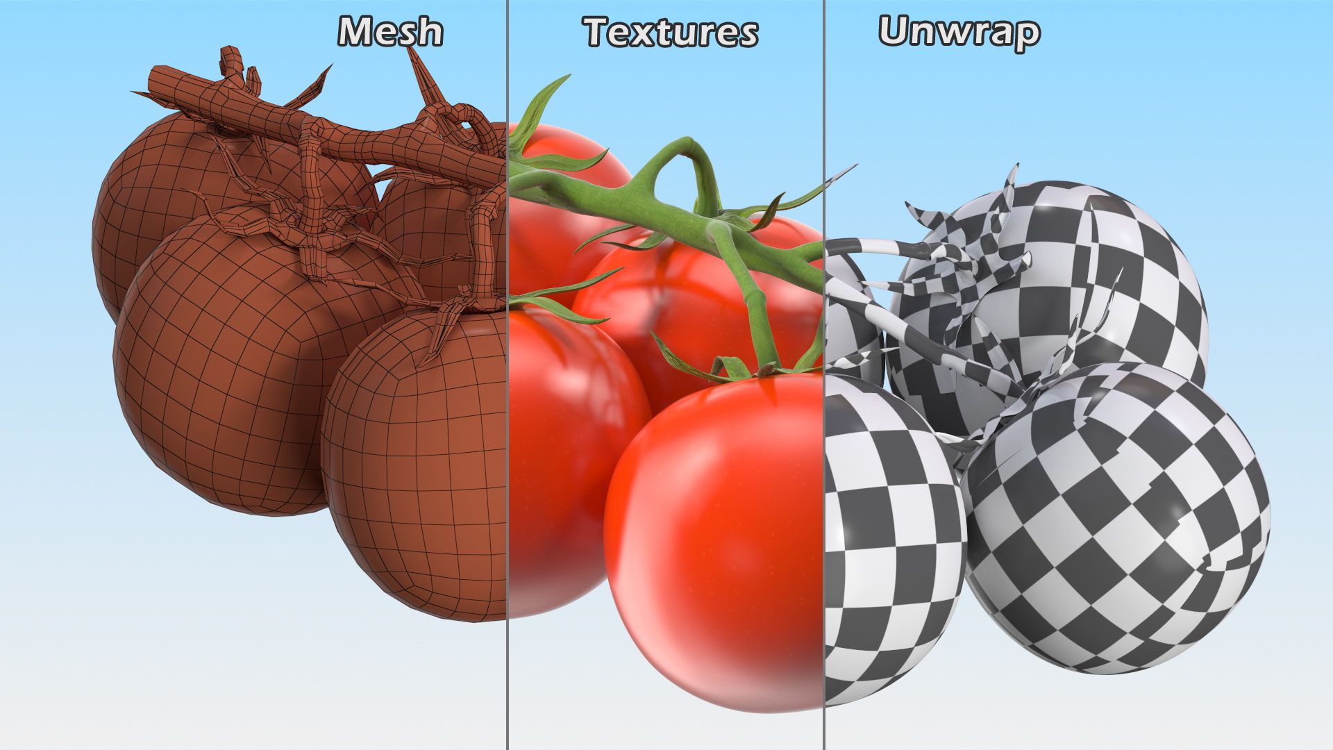 3D Fresh Cherry Tomatoes on the Vine model