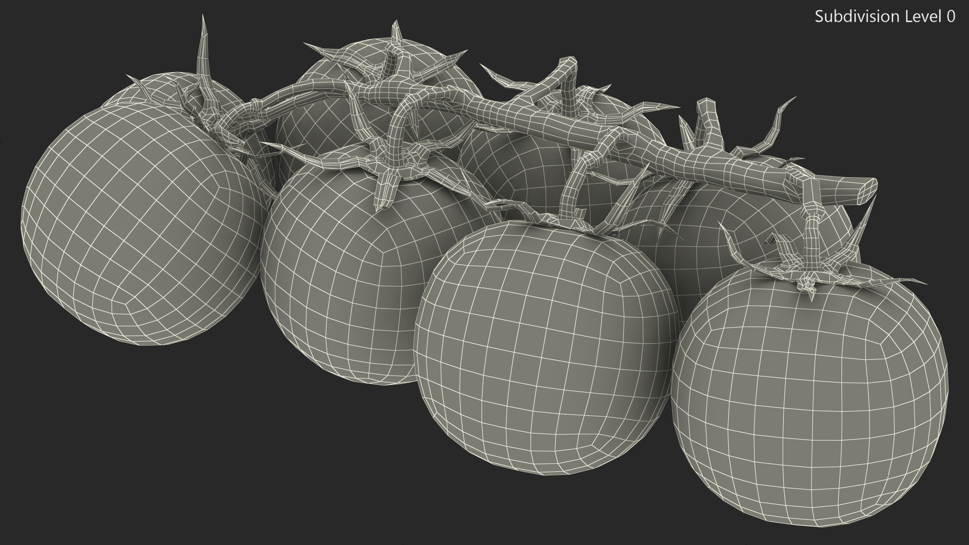 3D Fresh Cherry Tomatoes on the Vine model