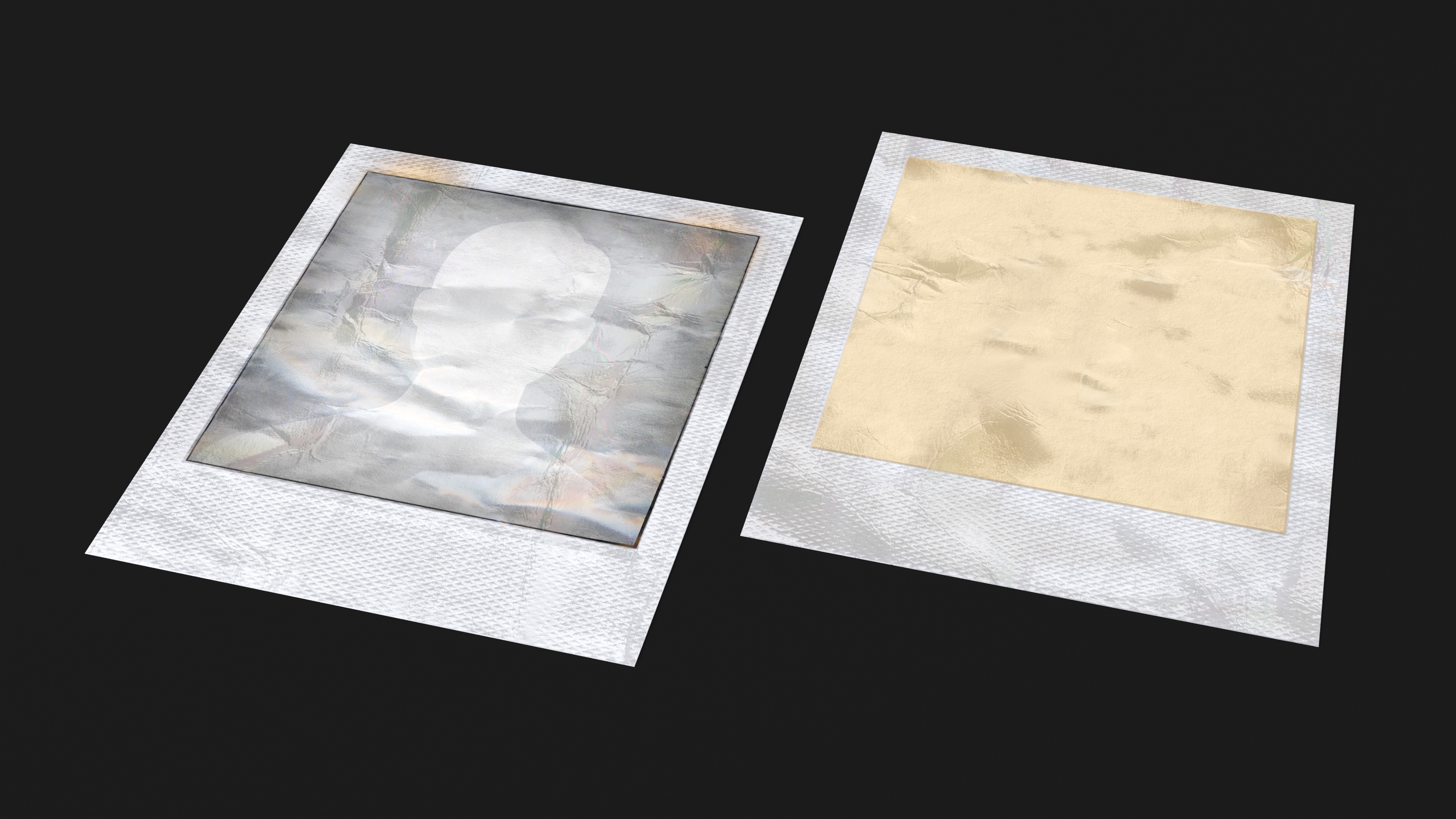 3D model Old Grunge Instant Photo Frame