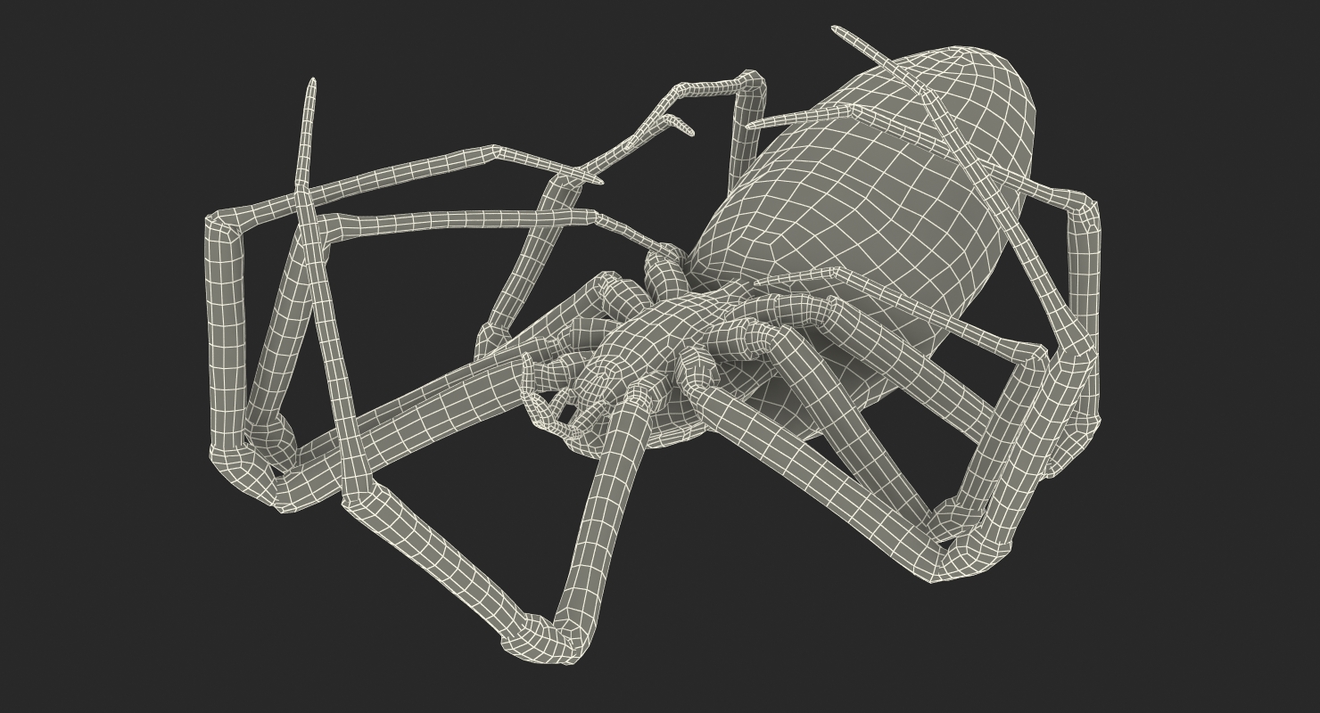 3D Corn Spider