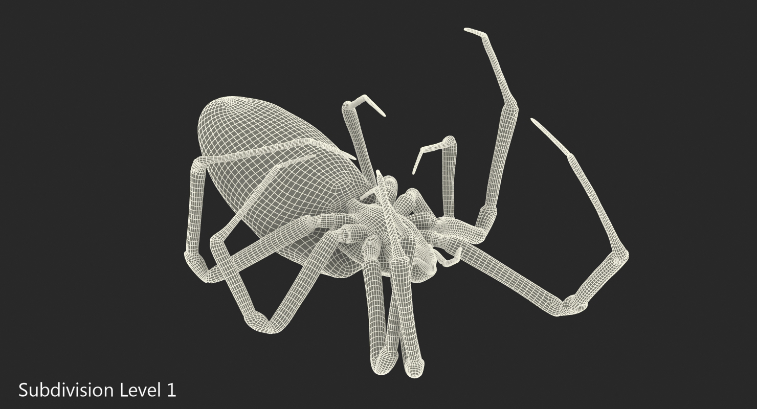 3D Corn Spider