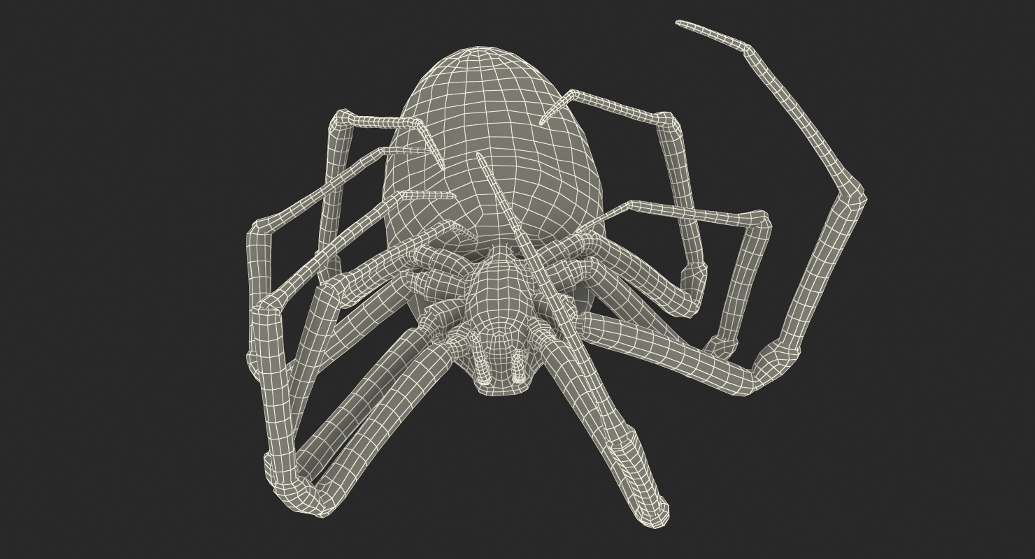 3D Corn Spider