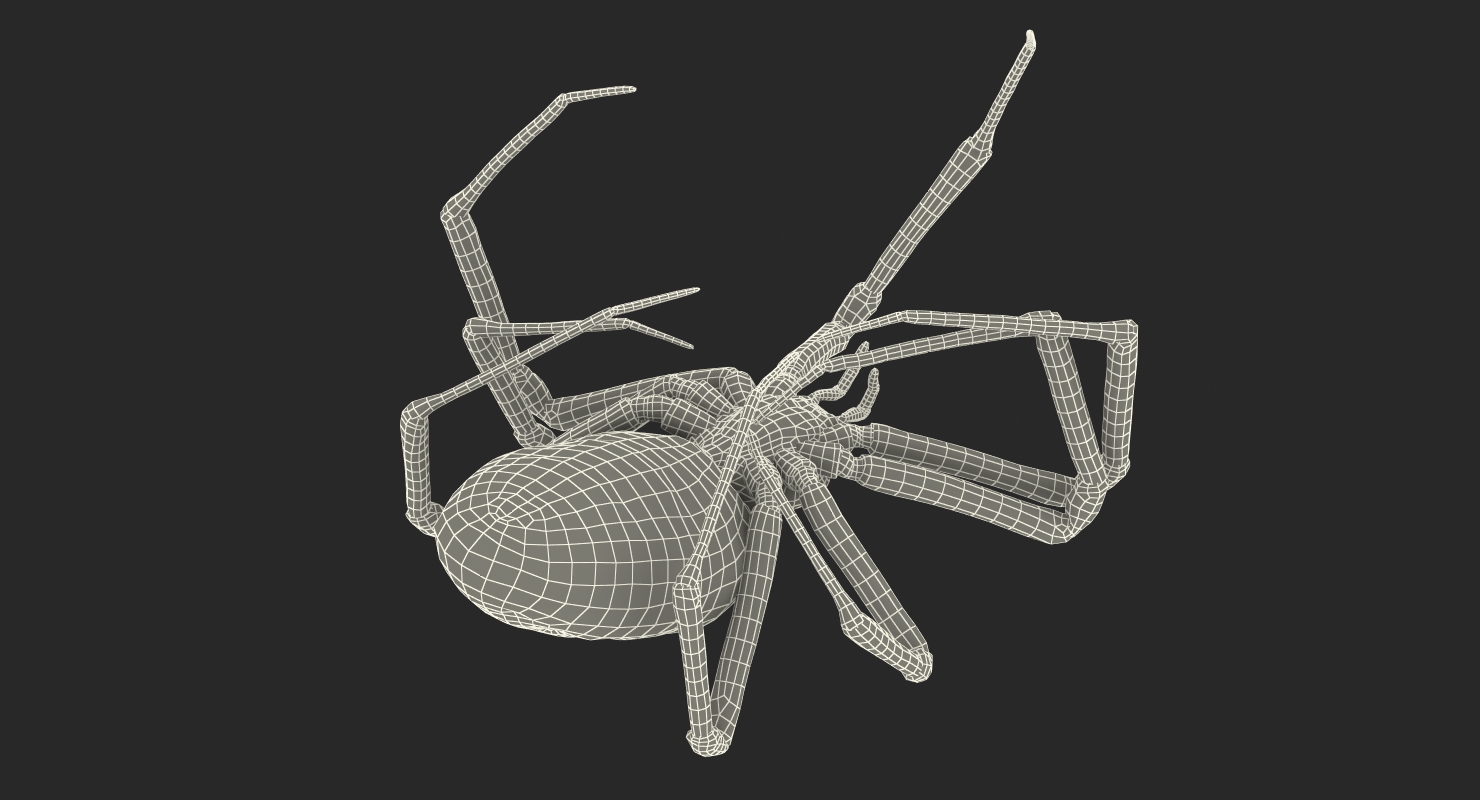 3D Corn Spider