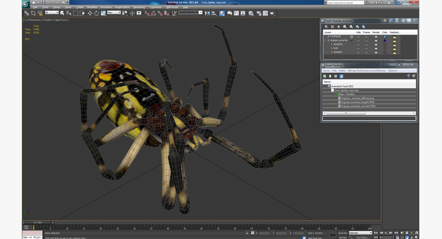 3D Corn Spider