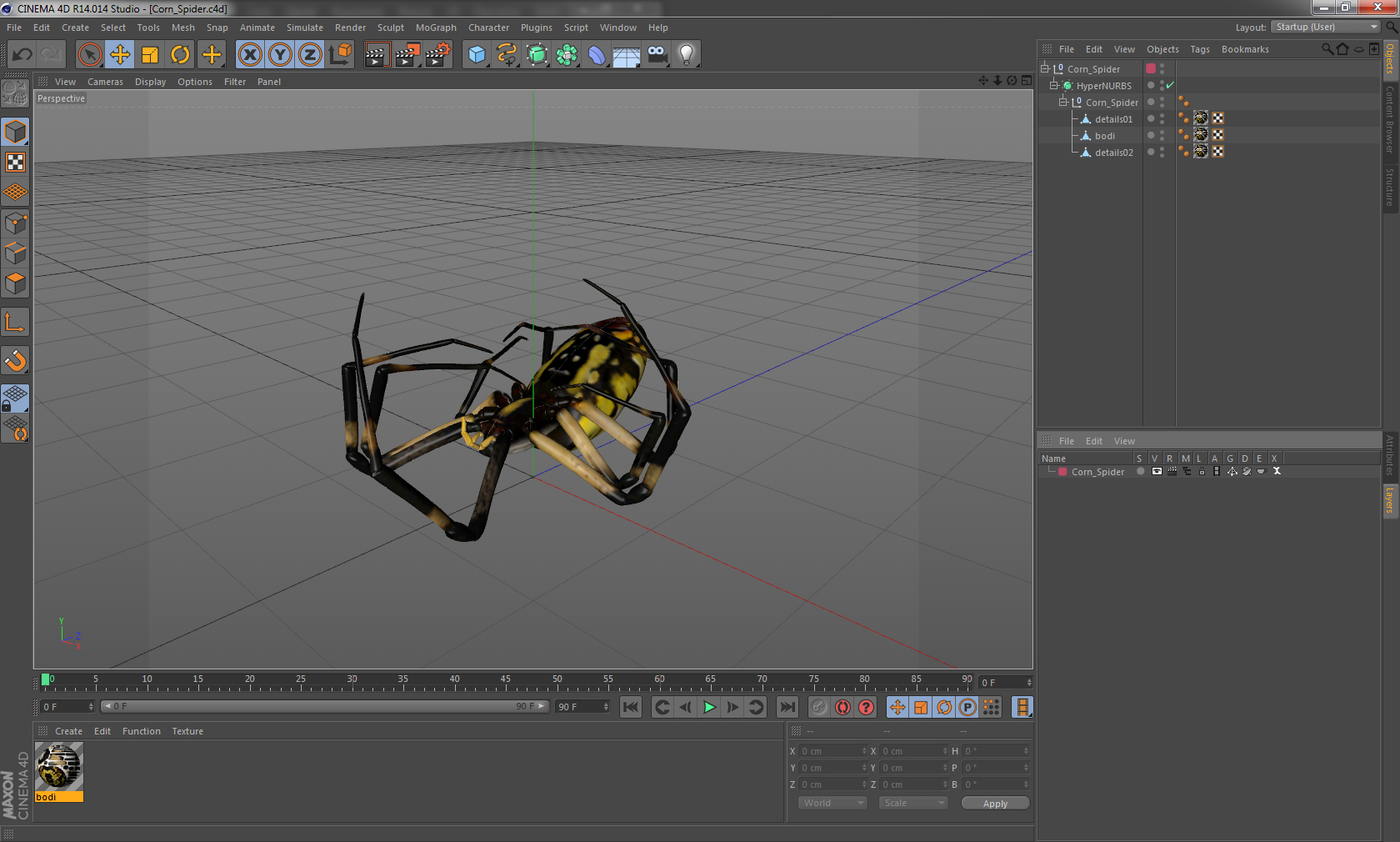 3D Corn Spider