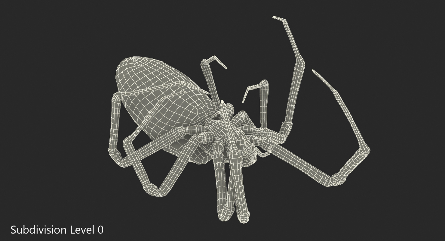 3D Corn Spider