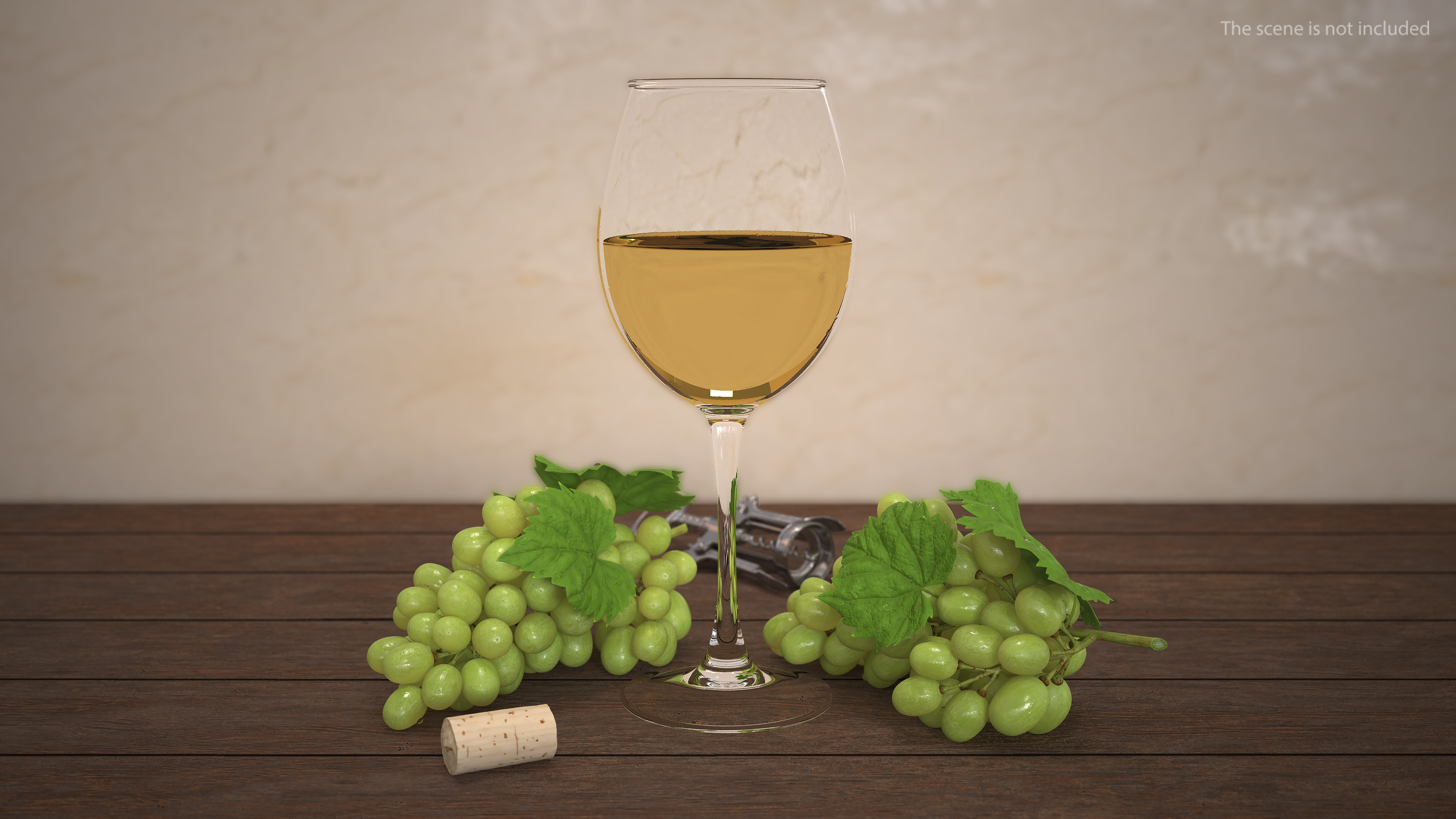 3D Full Filled White Wine Glass model