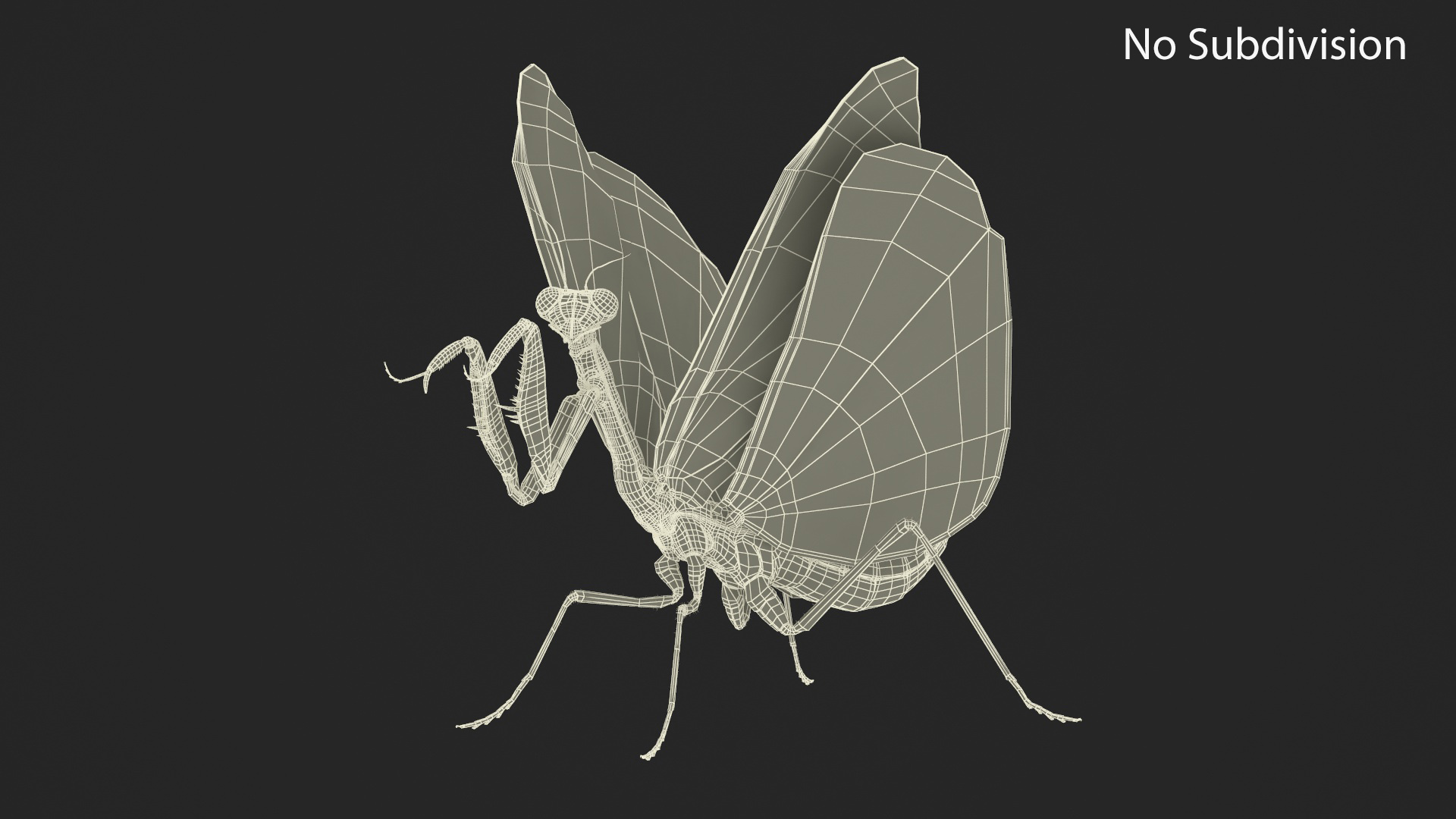 Praying Mantis Insect Fur Rigged 3D