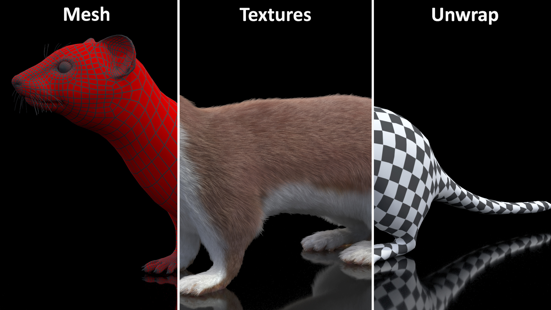 3D Eurasian Stoat Brown Fur Rigged