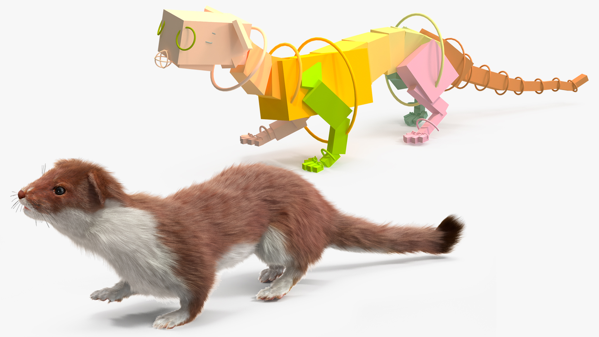 3D Eurasian Stoat Brown Fur Rigged