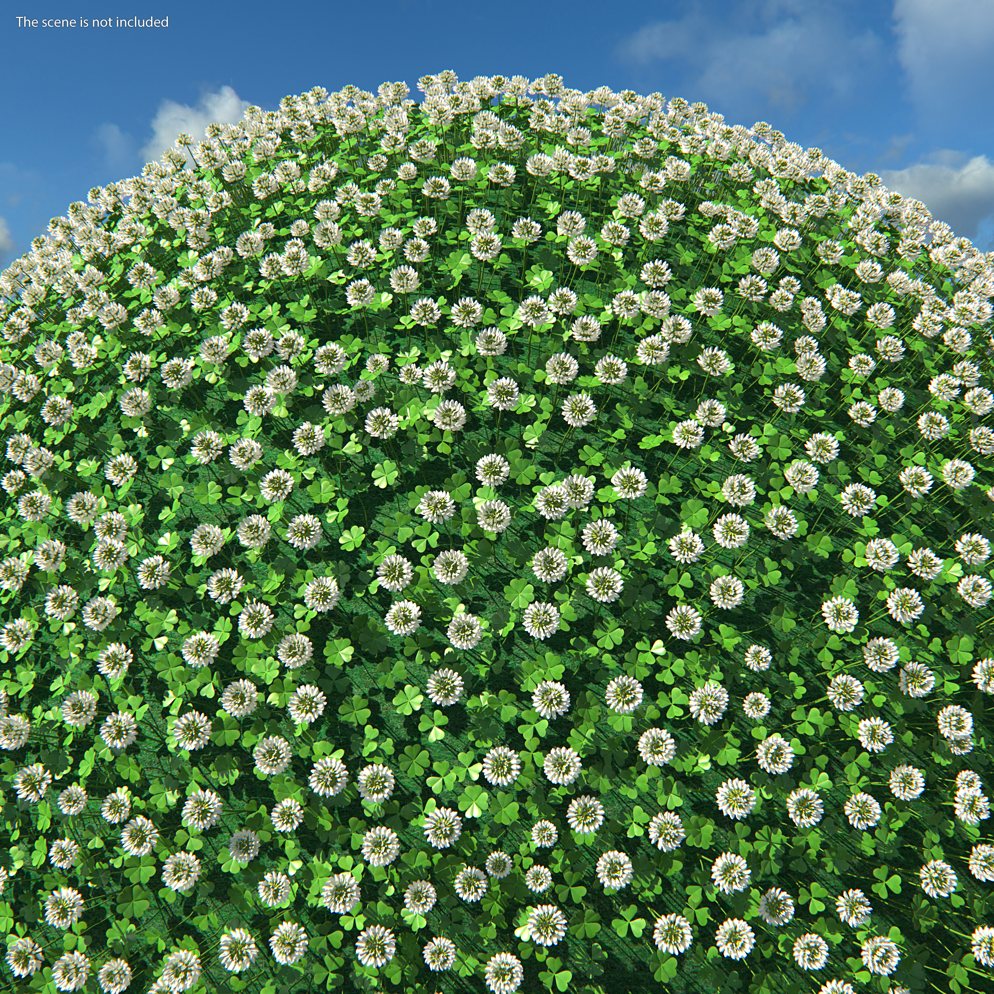 3D Blooming Clover Field Meadow model