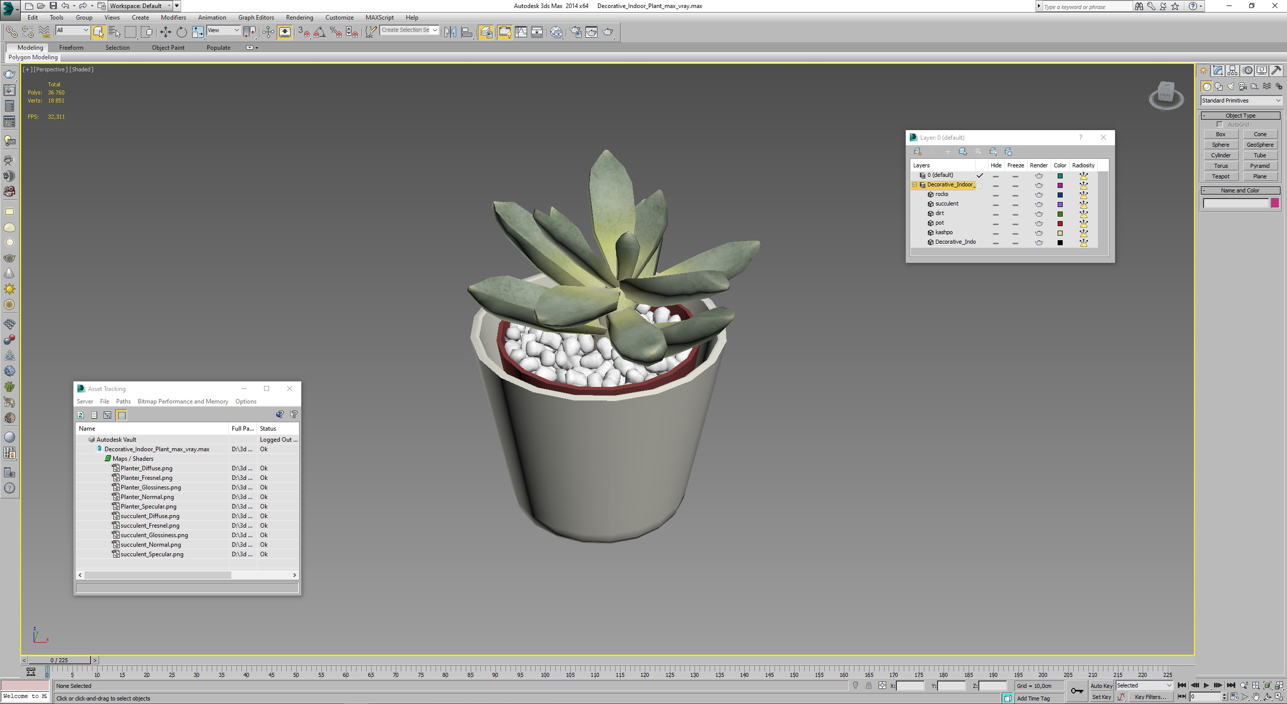 3D Decorative Indoor Plant model