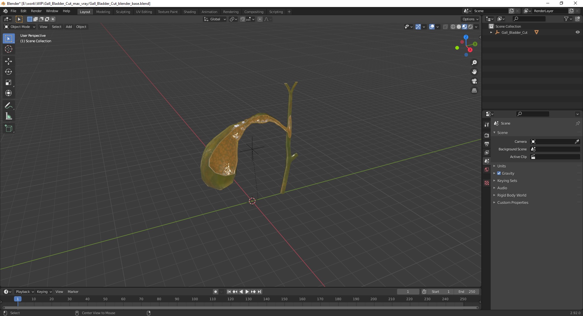 3D Gall Bladder Cut