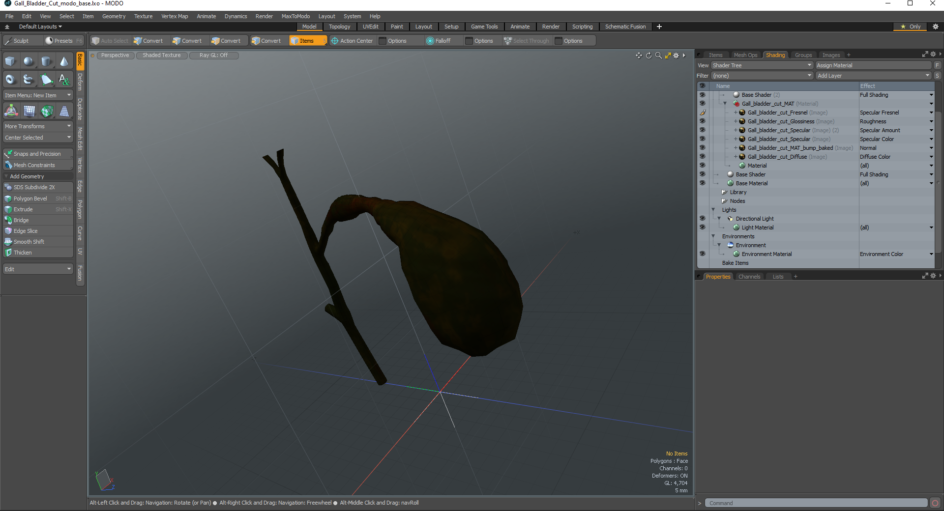 3D Gall Bladder Cut