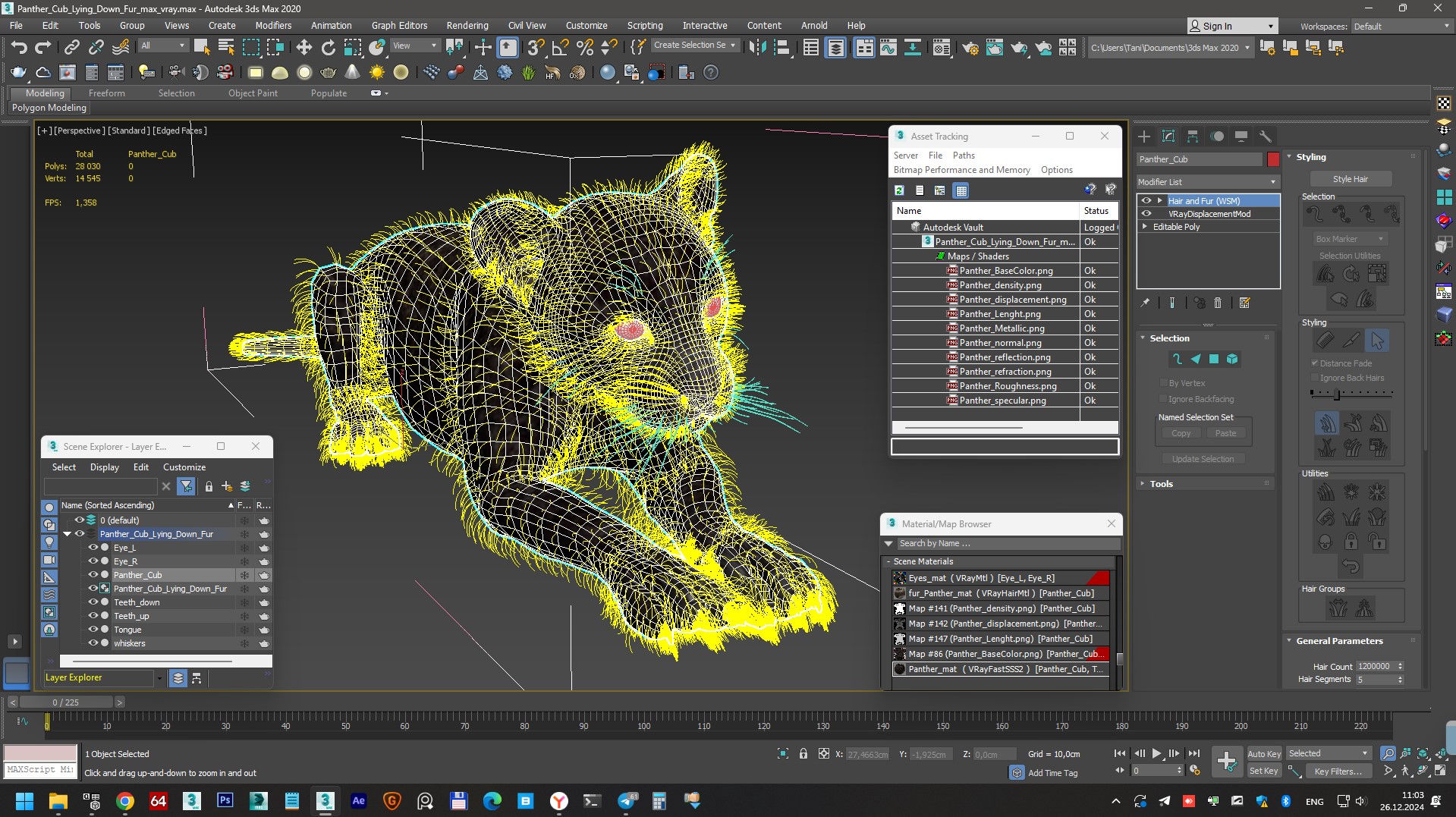 3D Panther Cub Lying Down Fur
