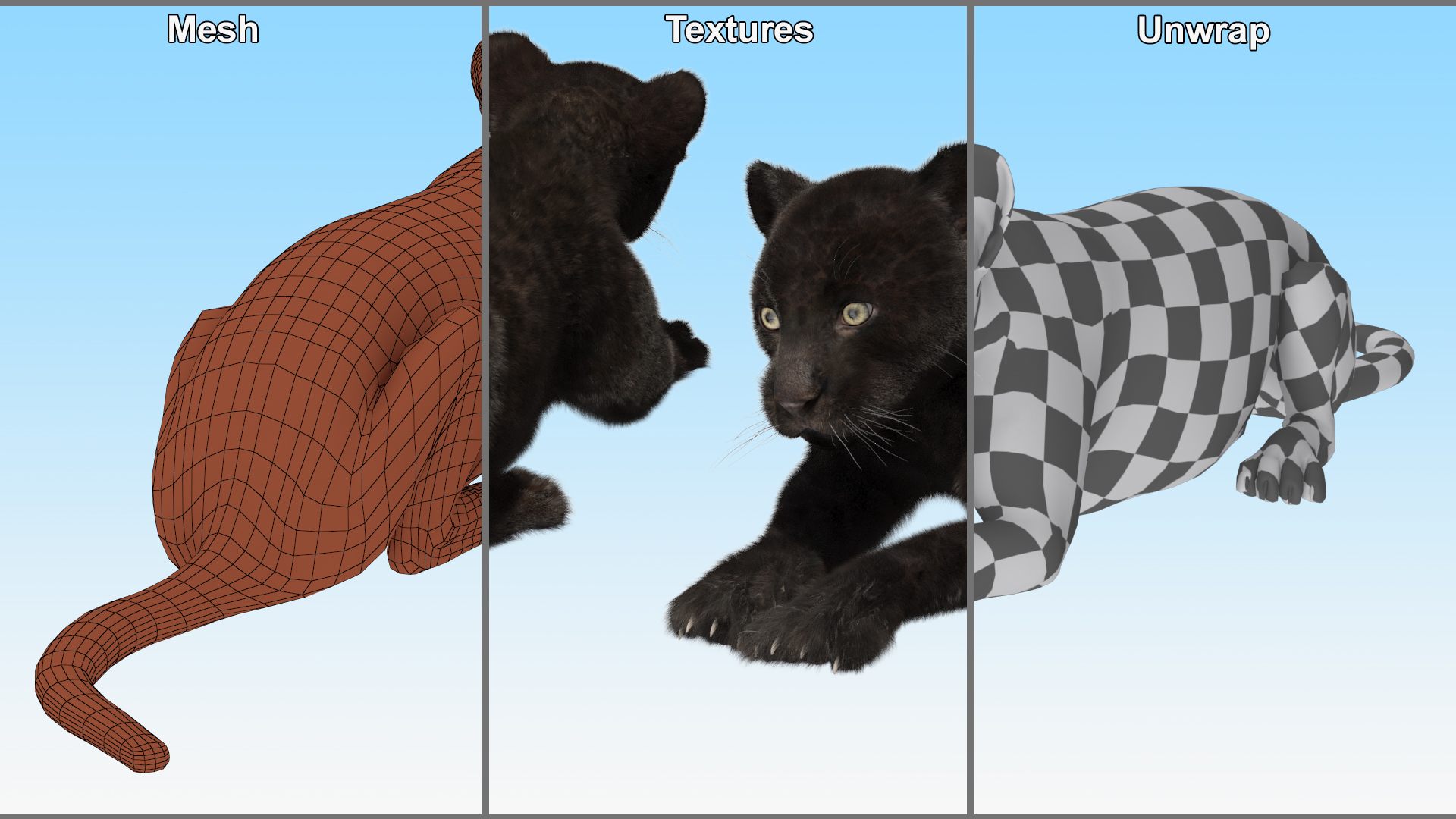 3D Panther Cub Lying Down Fur