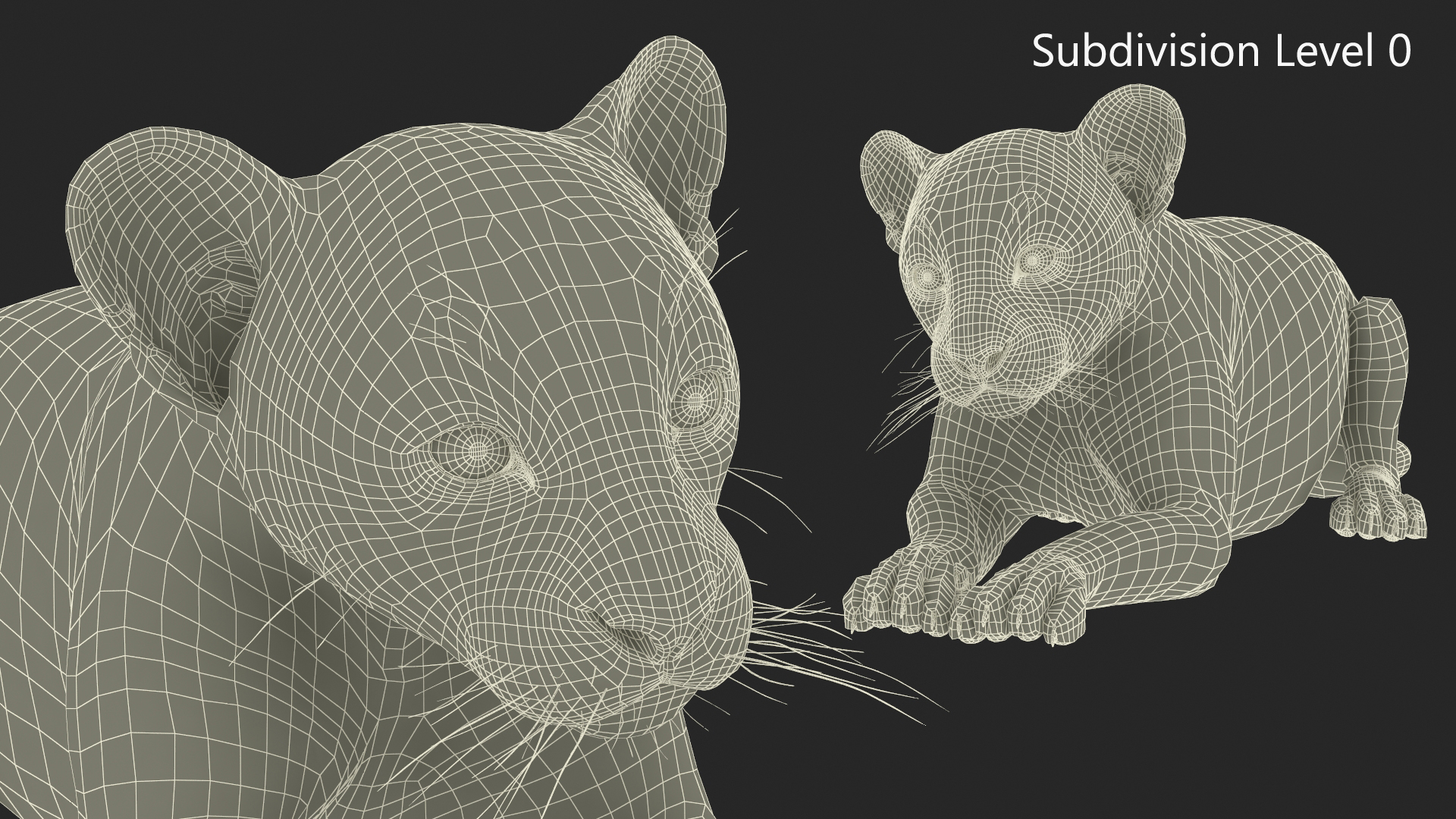 3D Panther Cub Lying Down Fur
