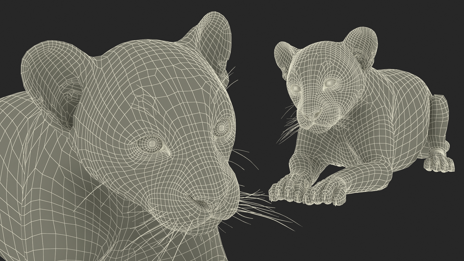 3D Panther Cub Lying Down Fur