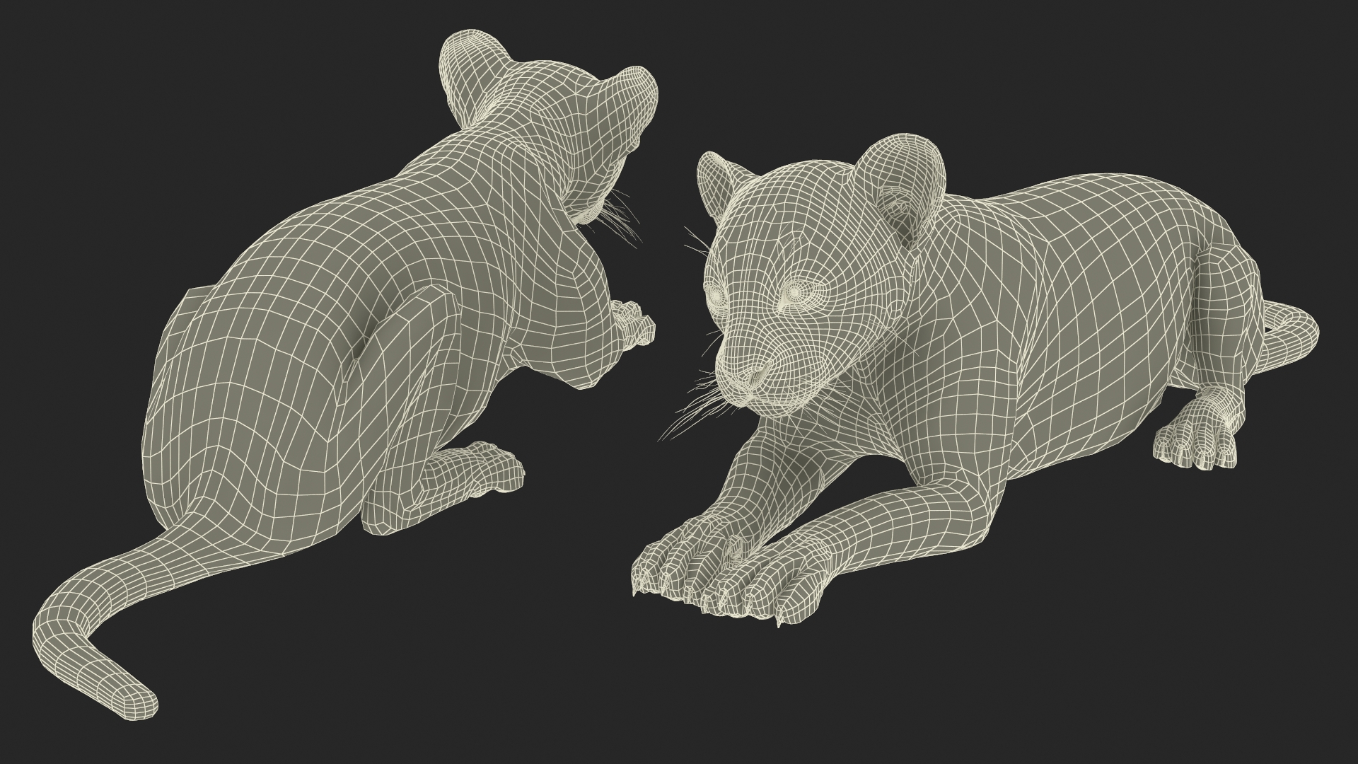 3D Panther Cub Lying Down Fur