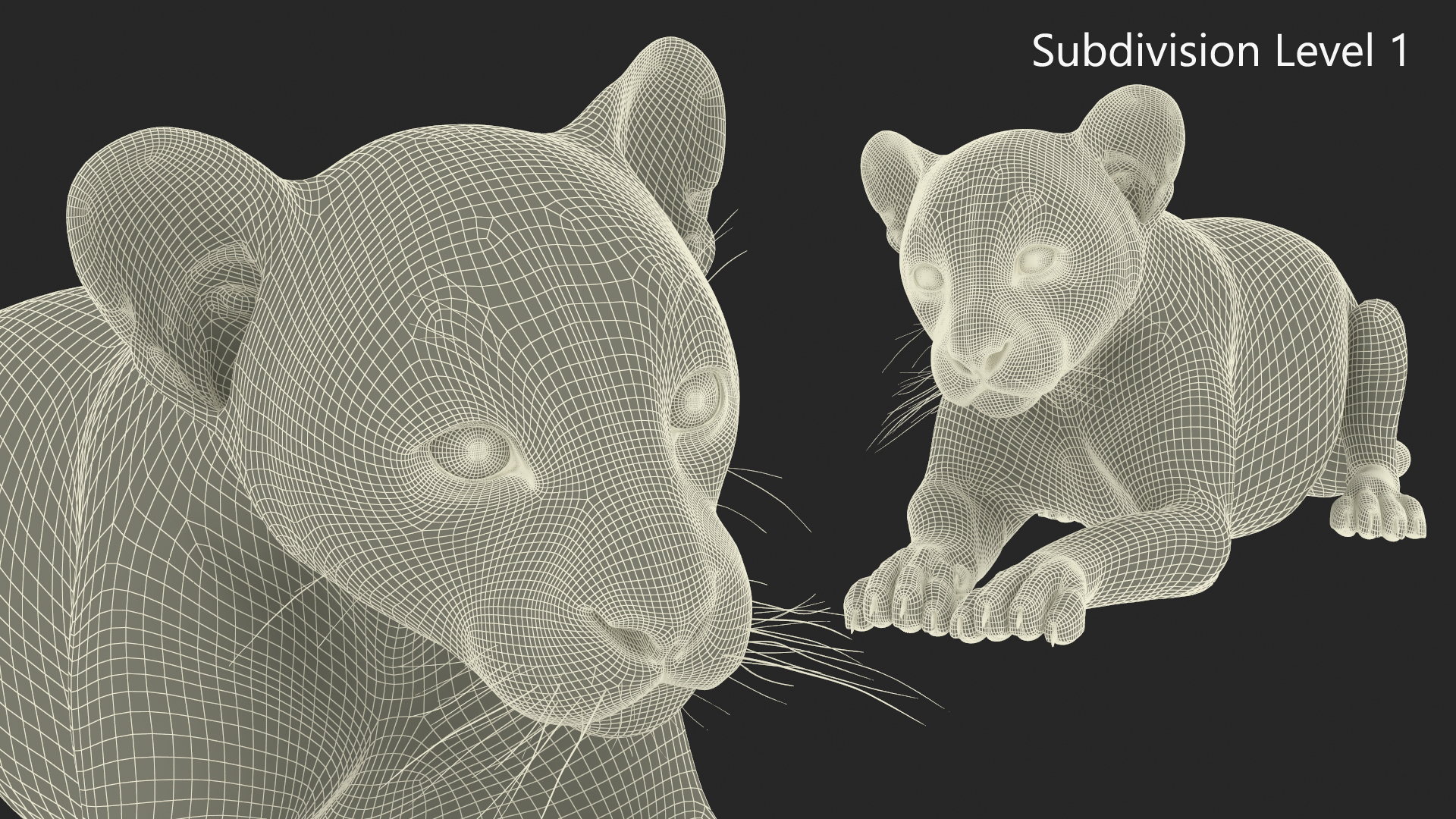 3D Panther Cub Lying Down Fur