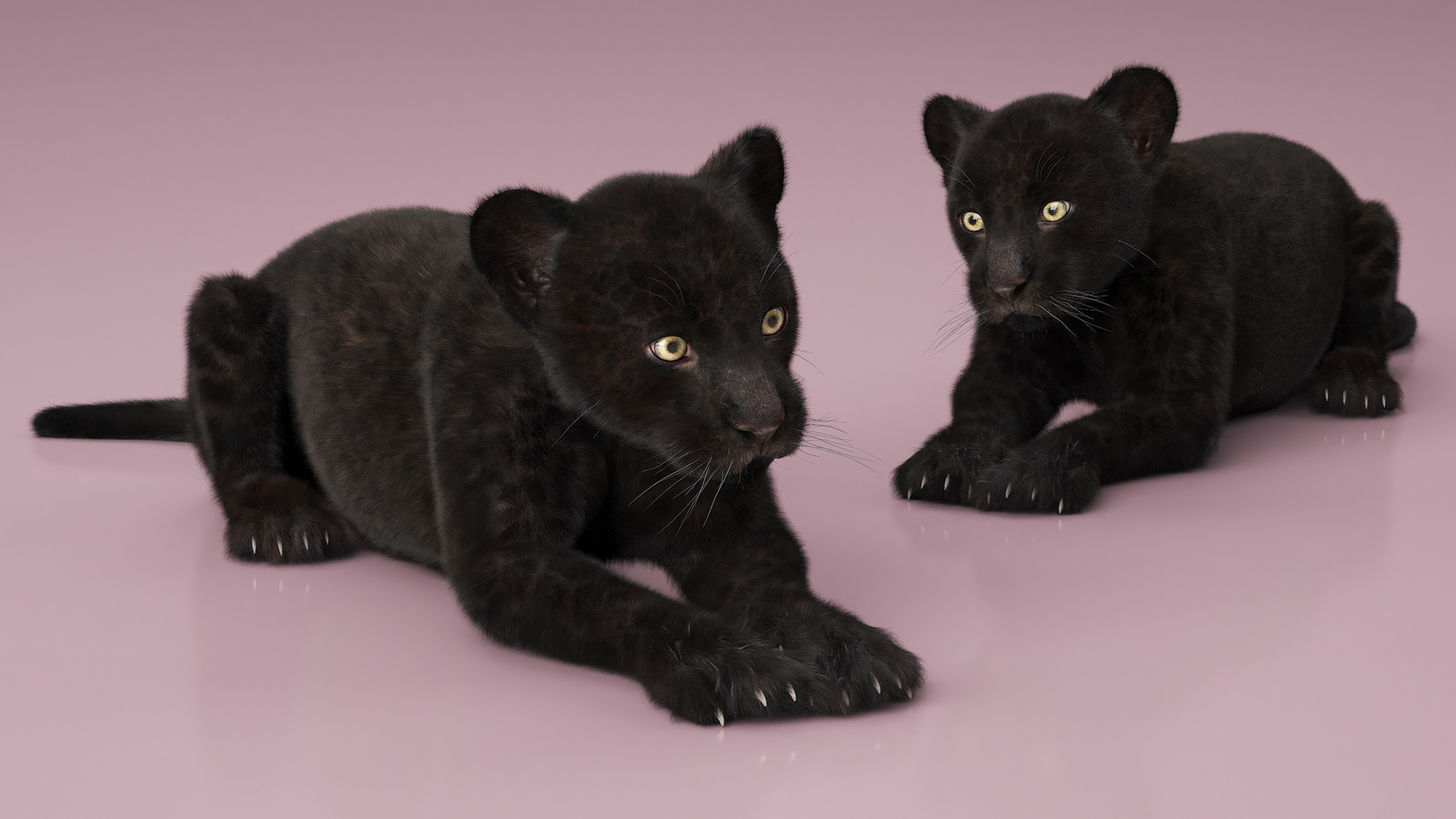 3D Panther Cub Lying Down Fur