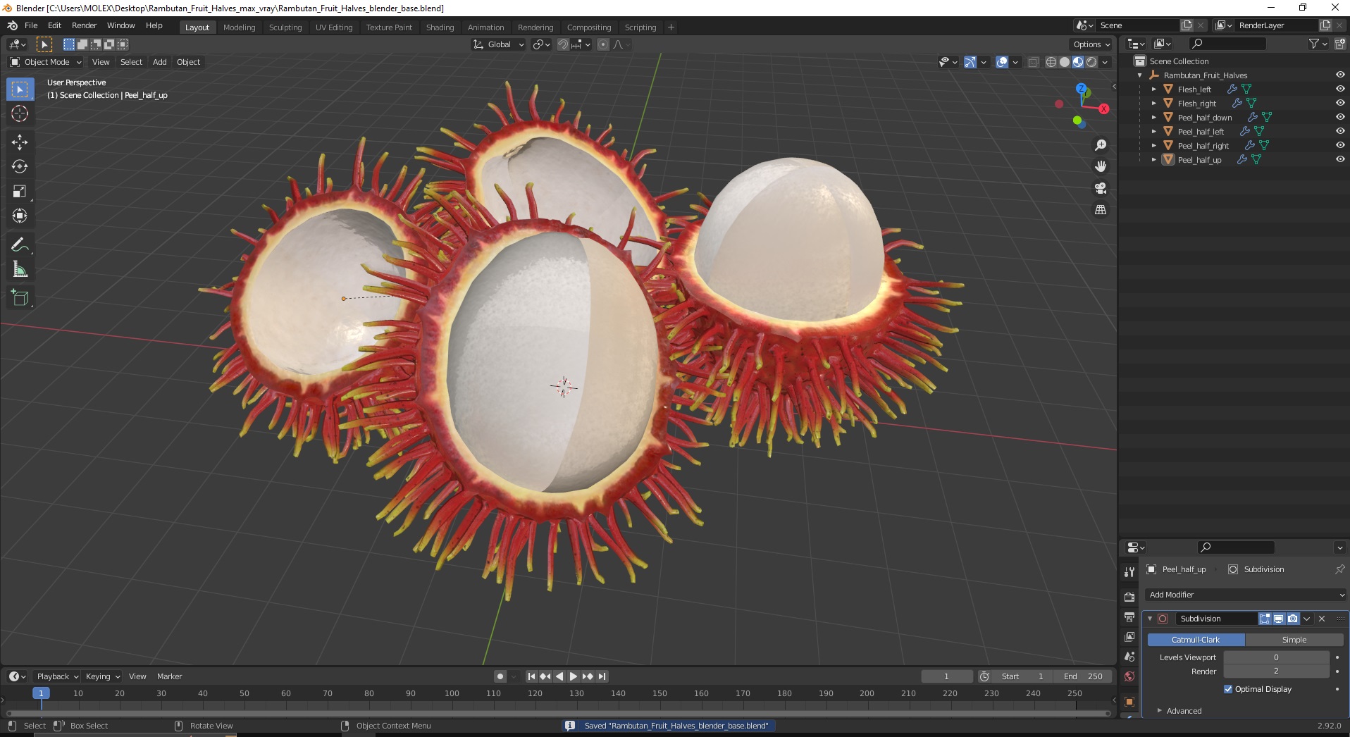 3D Rambutan Fruit Halves