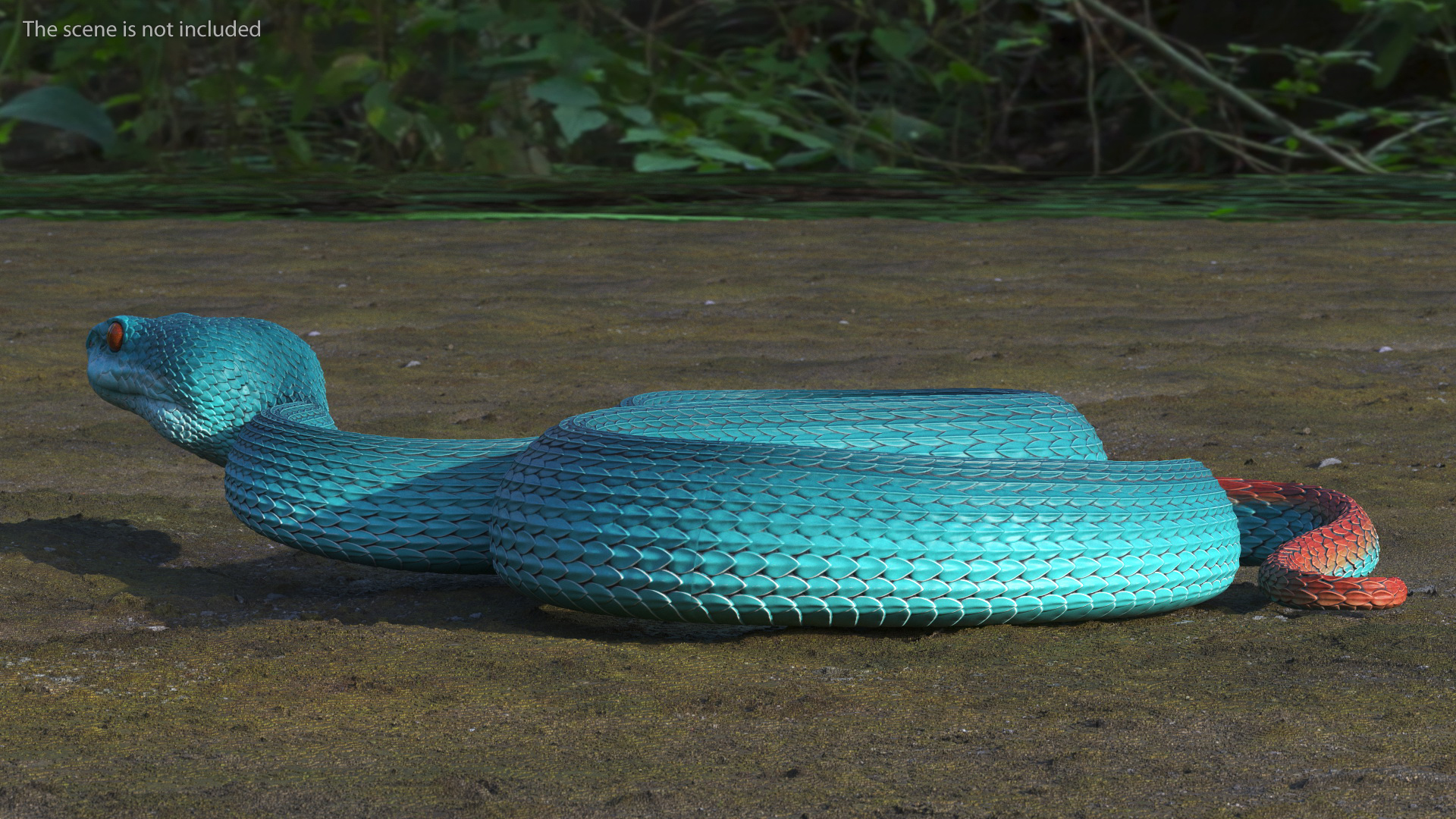 Viper Blue Trimeresurus Rigged for Maya 3D model
