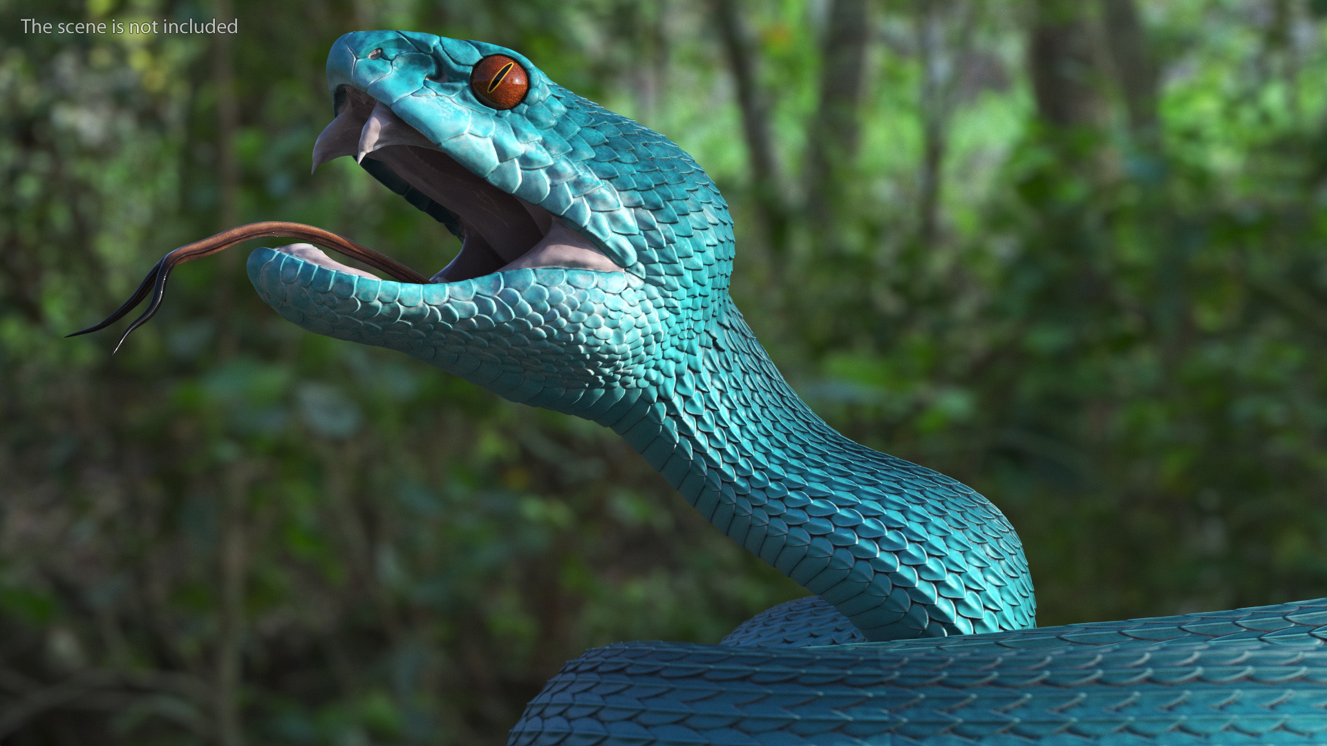 Viper Blue Trimeresurus Rigged for Maya 3D model