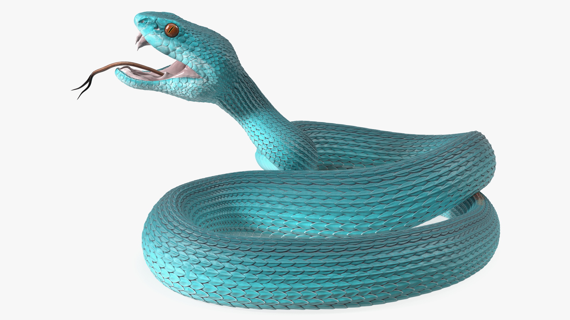 Viper Blue Trimeresurus Rigged for Maya 3D model
