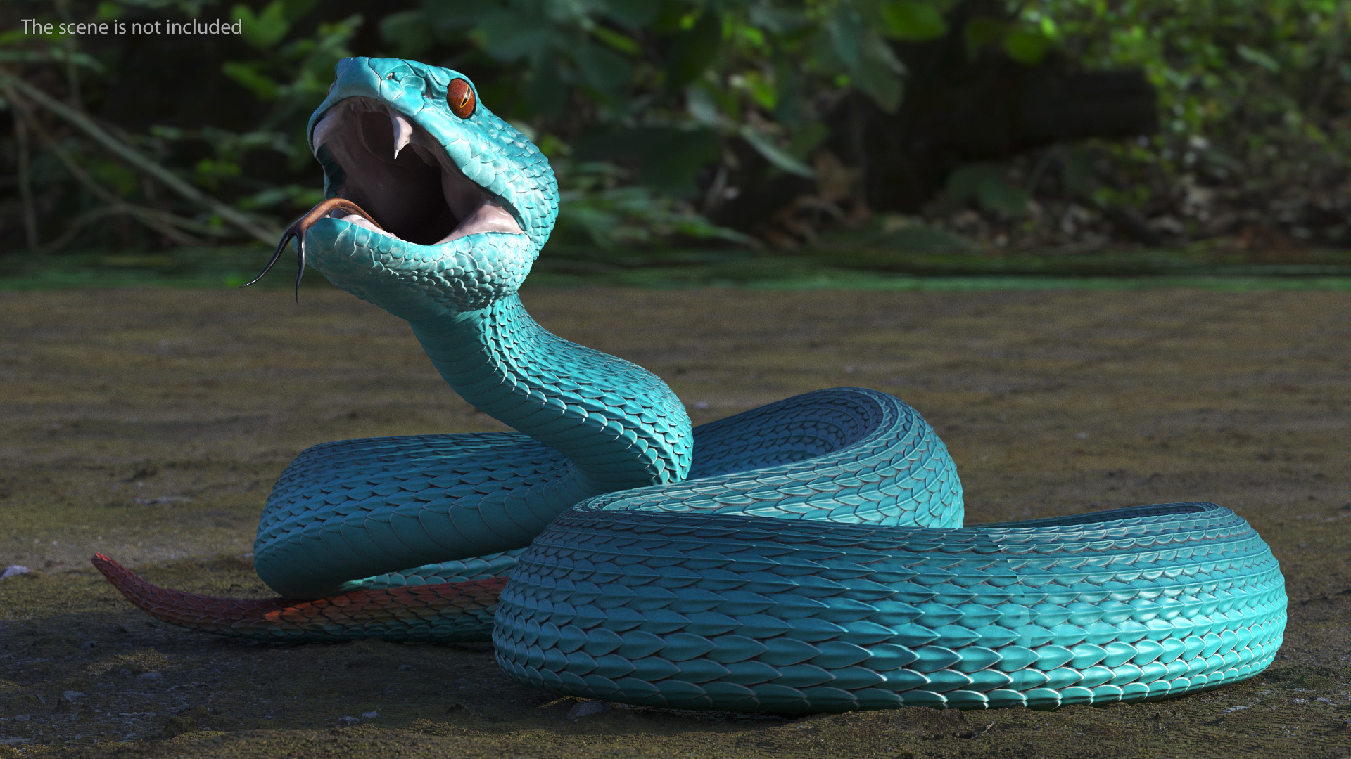 Viper Blue Trimeresurus Rigged for Maya 3D model
