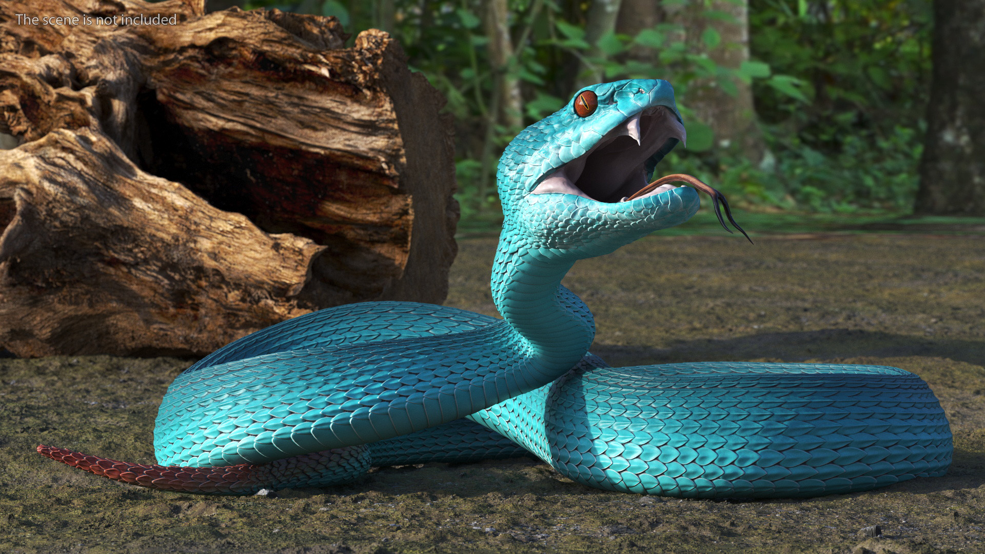 Viper Blue Trimeresurus Rigged for Maya 3D model