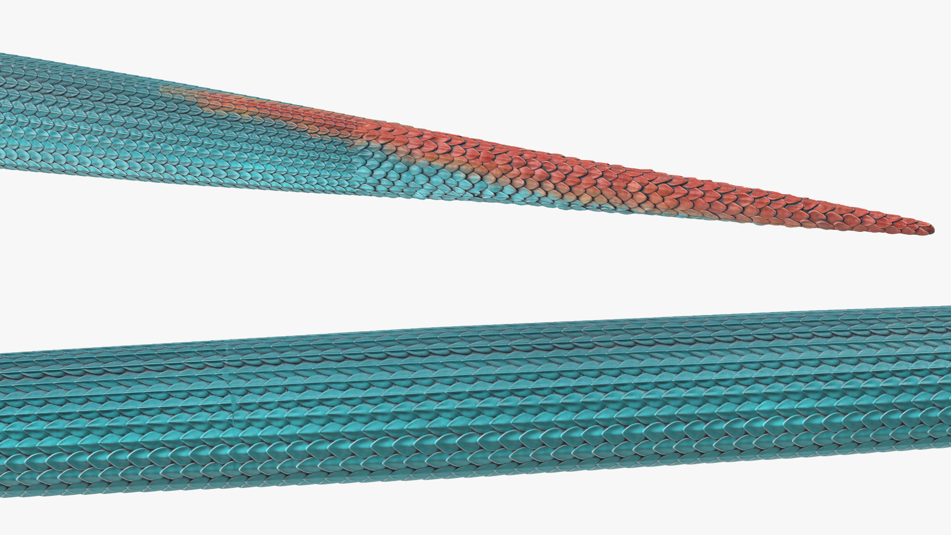 Viper Blue Trimeresurus Rigged for Maya 3D model