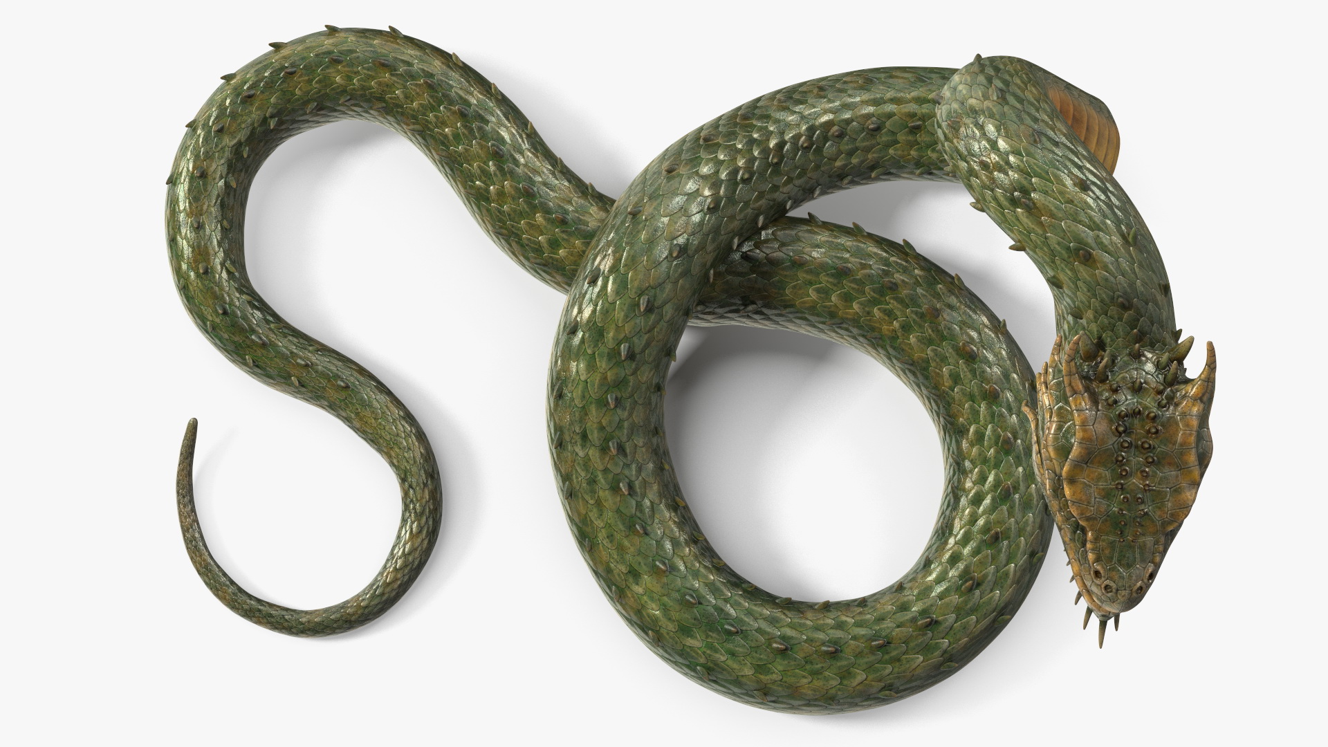 Mythical Serpentine Dragon Rigged for Cinema 4D 3D