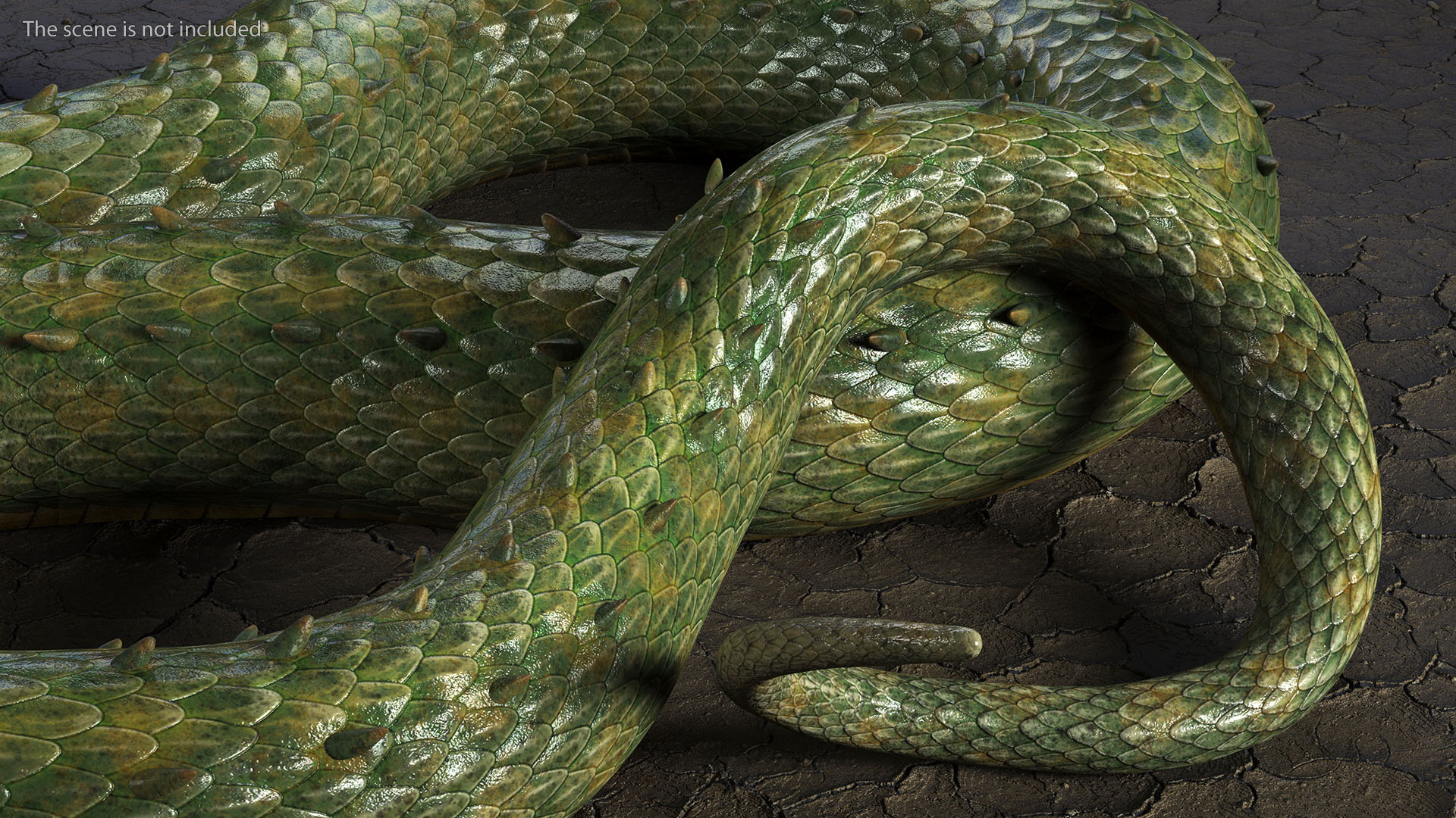 Mythical Serpentine Dragon Rigged for Cinema 4D 3D