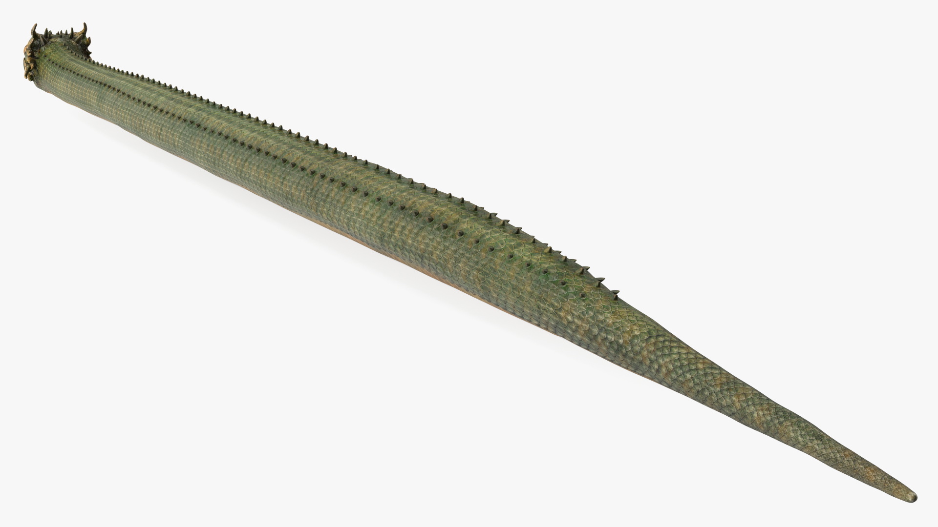 Mythical Serpentine Dragon Rigged for Cinema 4D 3D