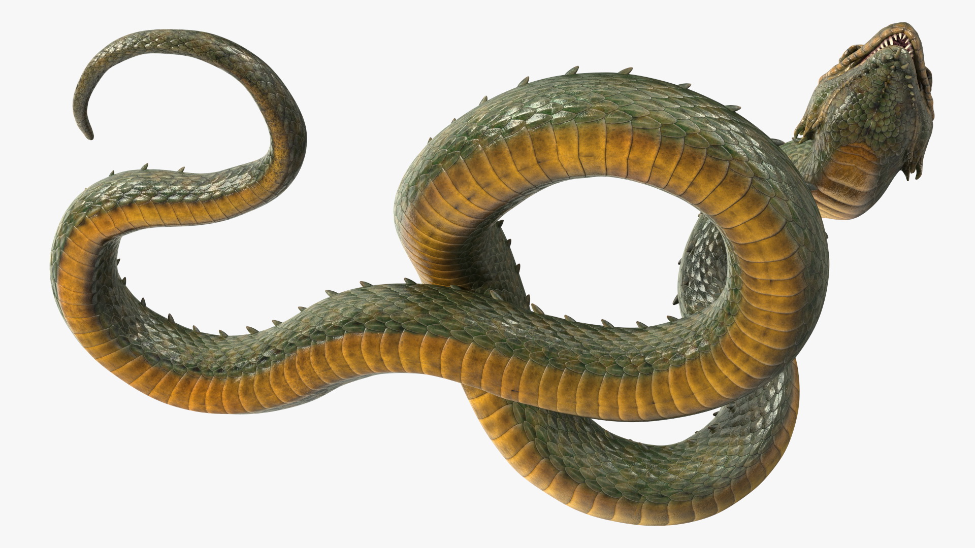 Mythical Serpentine Dragon Rigged for Cinema 4D 3D
