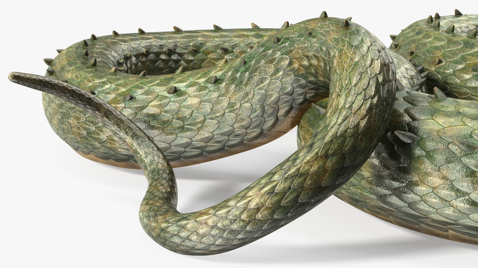 Mythical Serpentine Dragon Rigged for Cinema 4D 3D