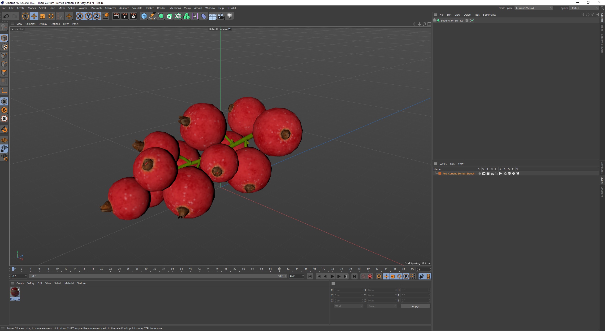 3D Red Currant Berries Branch