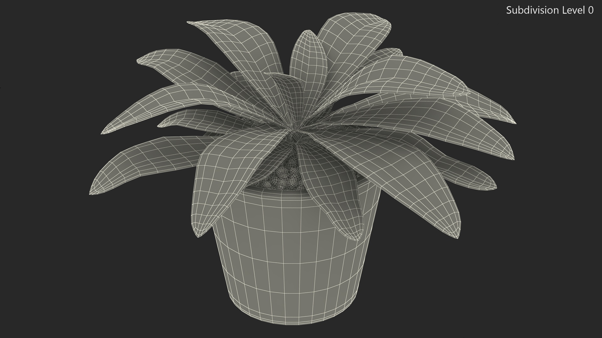 Red Ceramic Pot with Cordyline Glauca 3D