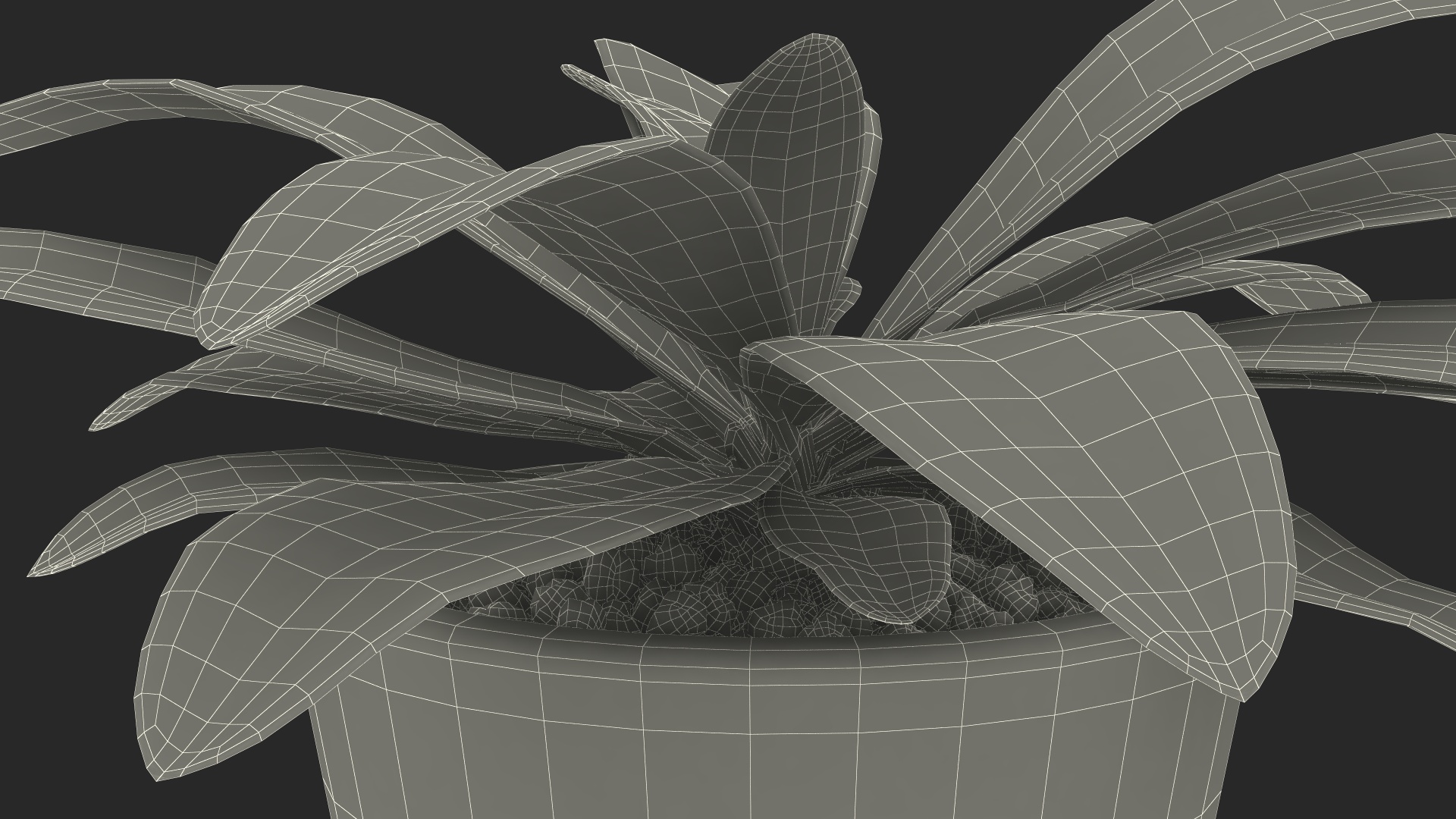 Red Ceramic Pot with Cordyline Glauca 3D