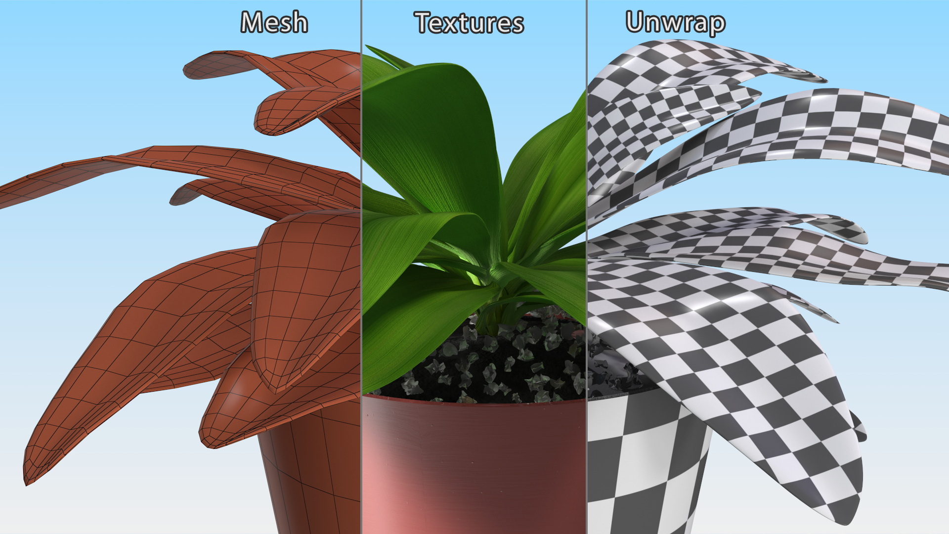Red Ceramic Pot with Cordyline Glauca 3D