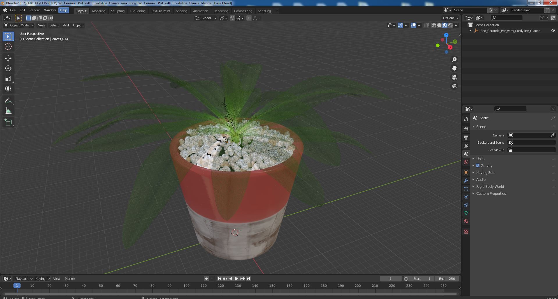 Red Ceramic Pot with Cordyline Glauca 3D