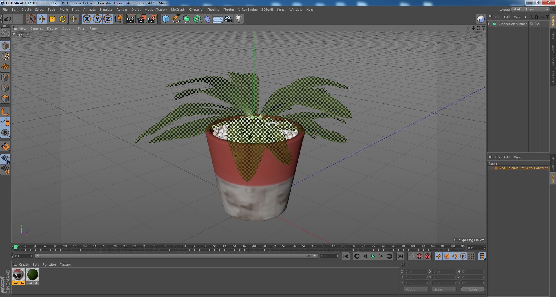 Red Ceramic Pot with Cordyline Glauca 3D