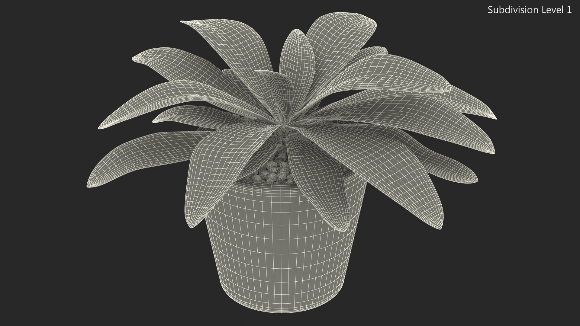 Red Ceramic Pot with Cordyline Glauca 3D