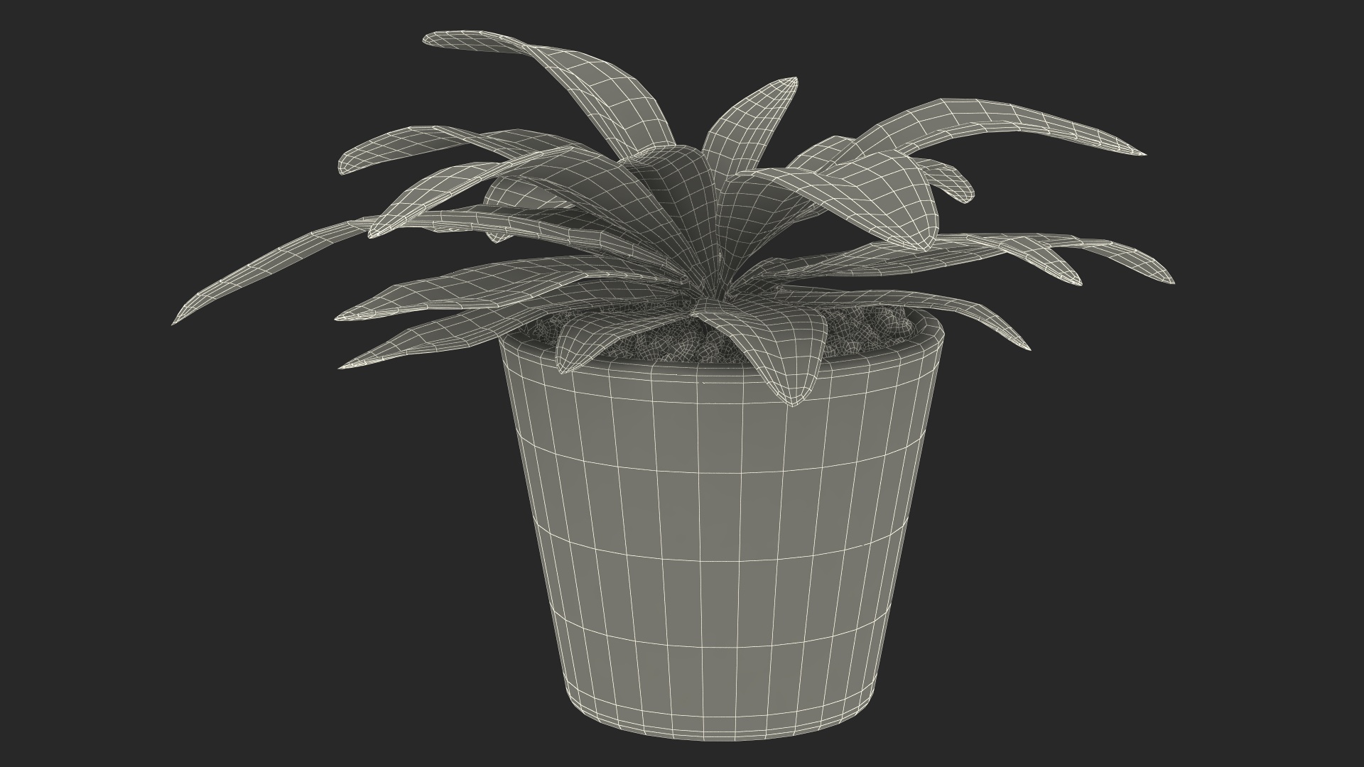 Red Ceramic Pot with Cordyline Glauca 3D