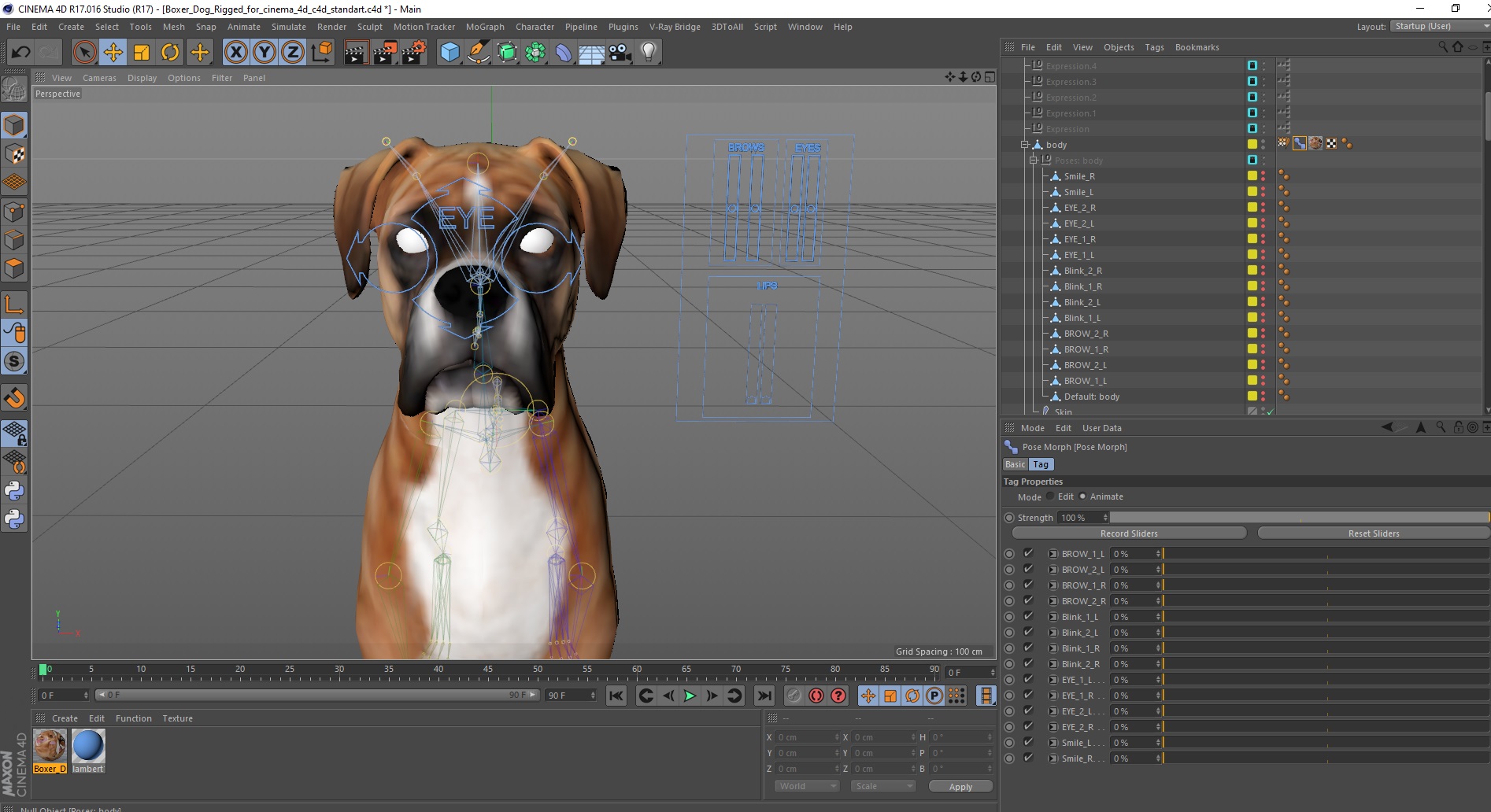 3D model Boxer Dog Rigged for Cinema 4D